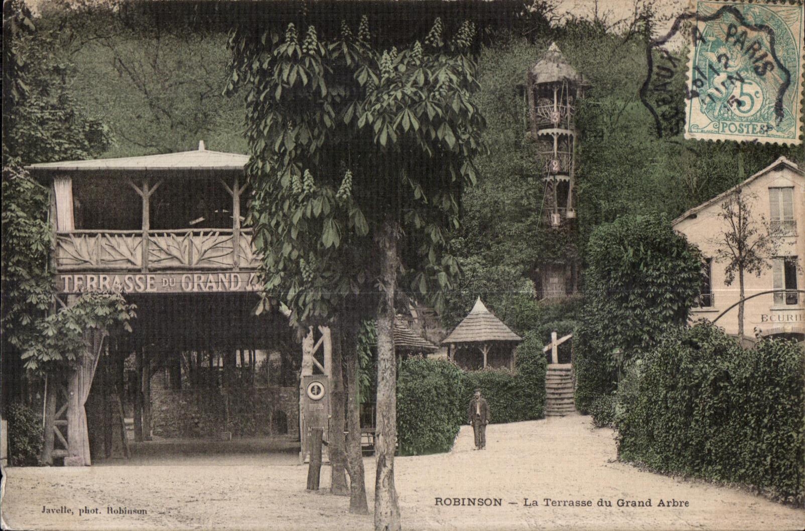 CPA Robinson la terraza del Arbol grande