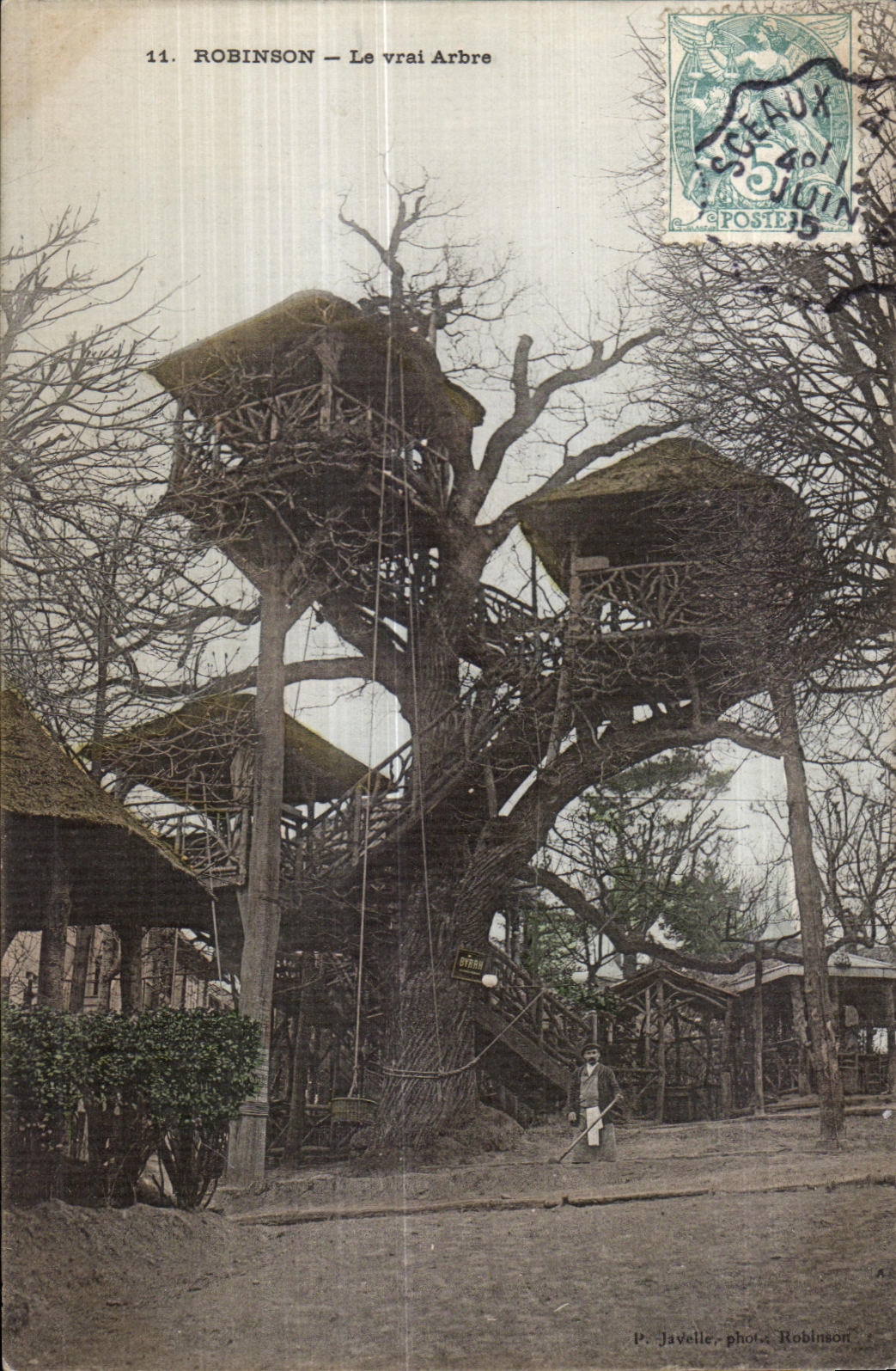 CPA Robinson el Arbol verdadero