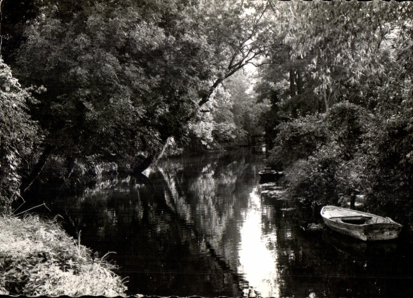 CPA Maisse Bords de l Essonne