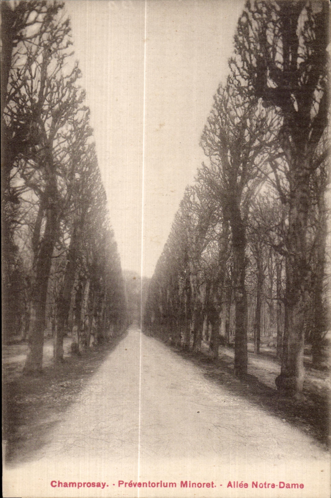 CPA Champrosay Preventorium Minoret Allee Notra Dame