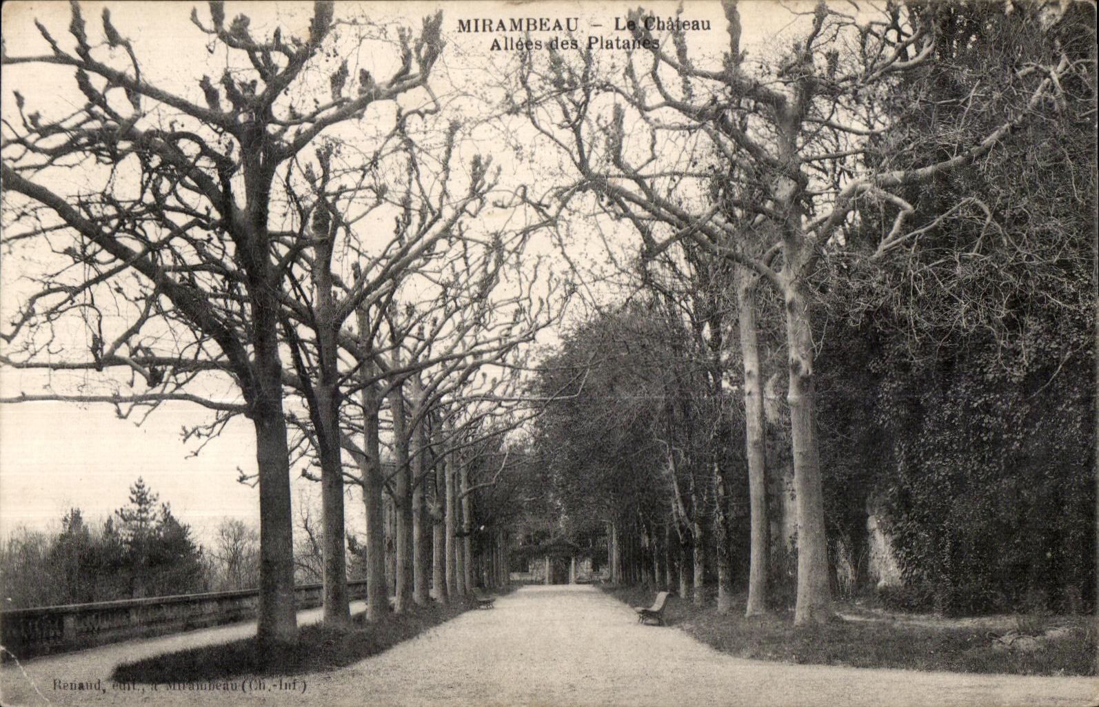 CPA Mirambeau La Chateau Allees des Platanes