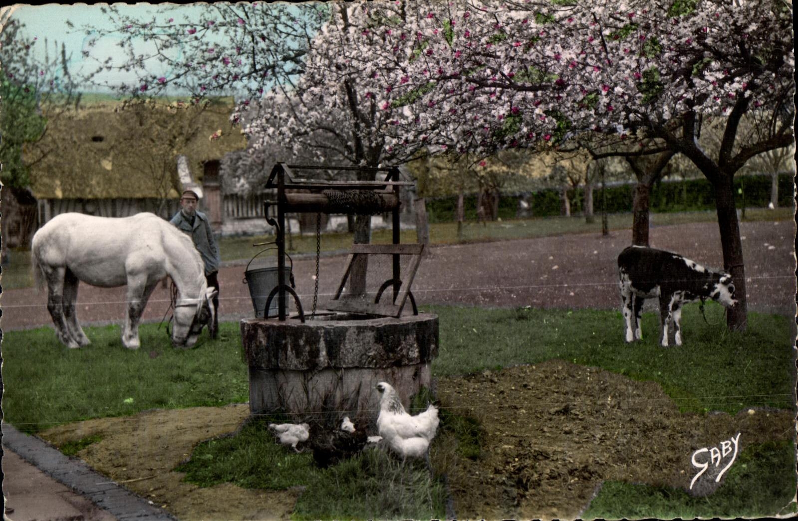 CPSM La Normandie Le Vieux Puits Folklore Cheval Horse