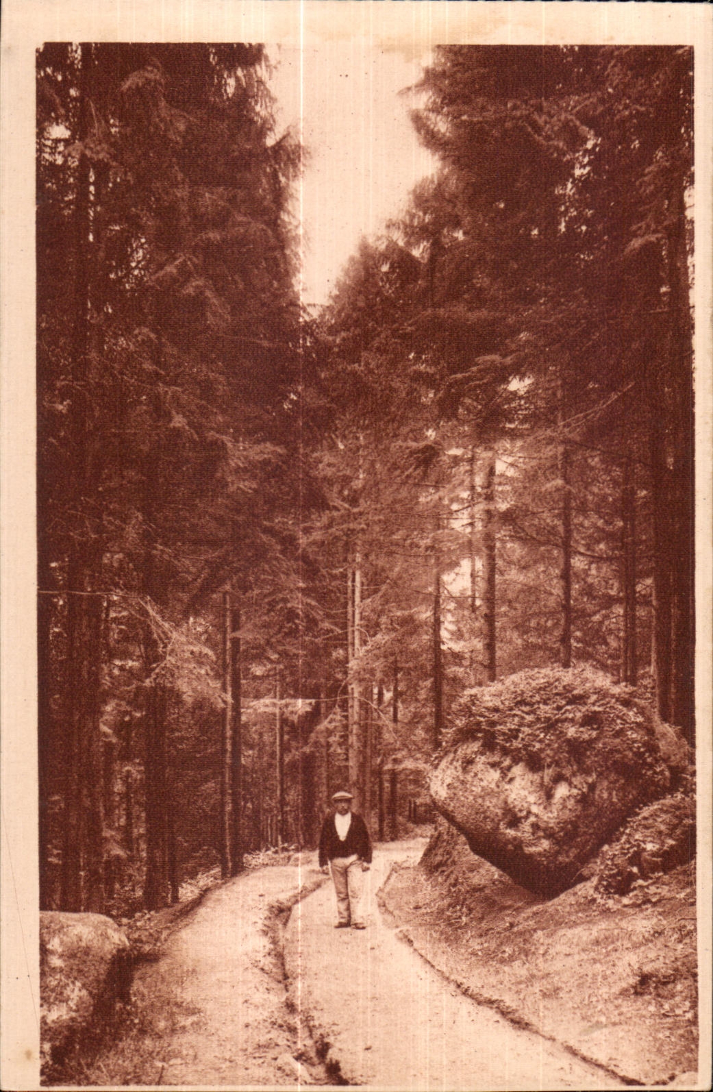 Huelgoat - Under wood close to the Cave Artus - CPA