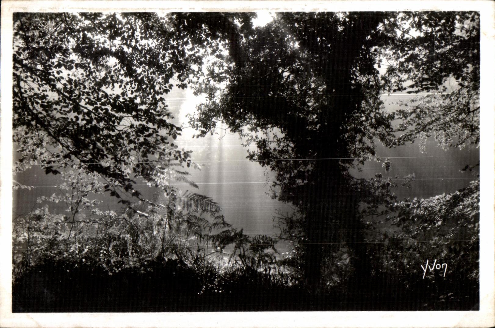 Huelgoat - Run light in the forest - CPSM