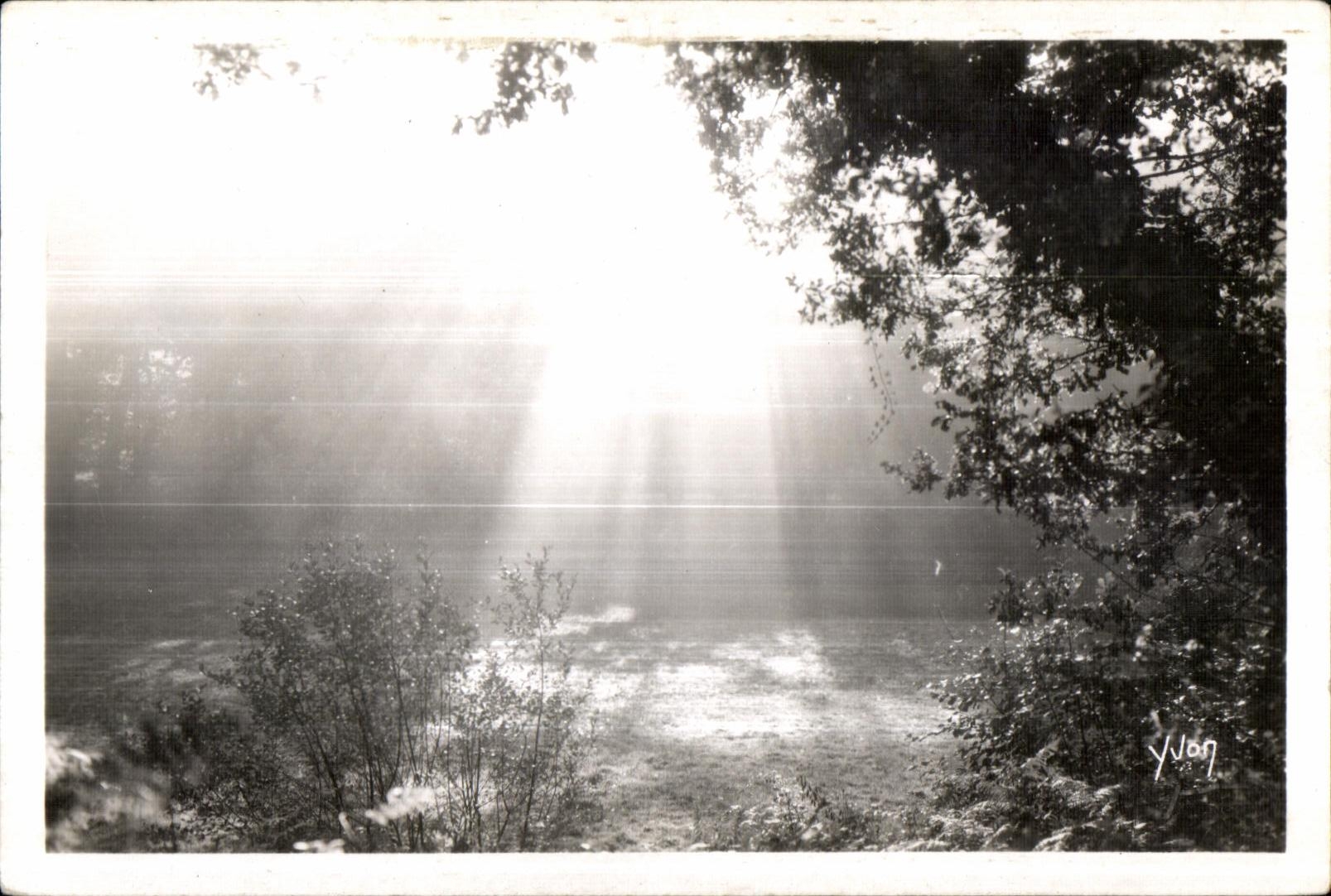 Huelgoat - Crossbred Fall in the forest - CPSM