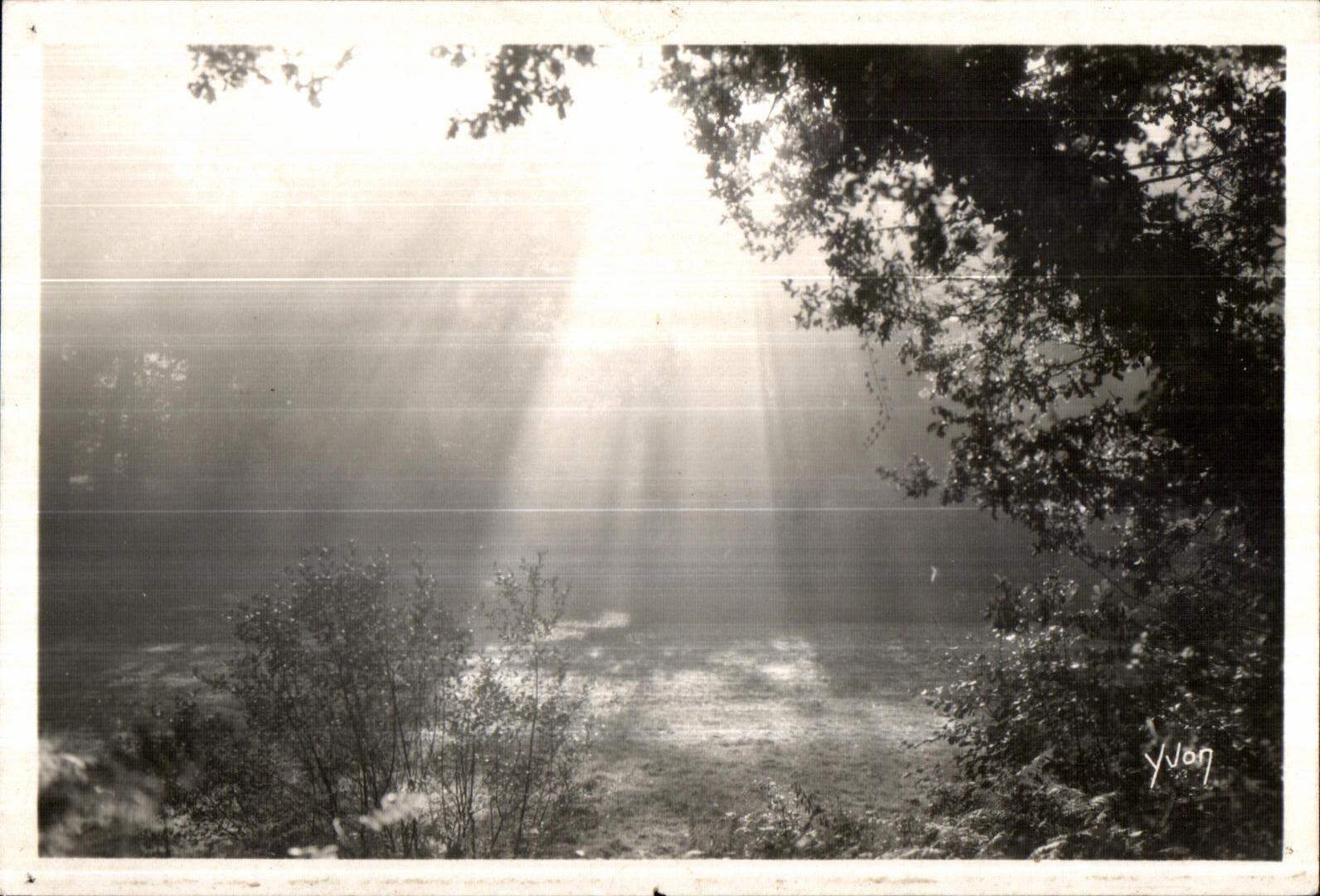 Huelgoat - Crossbred Fall - in the forest - CPA