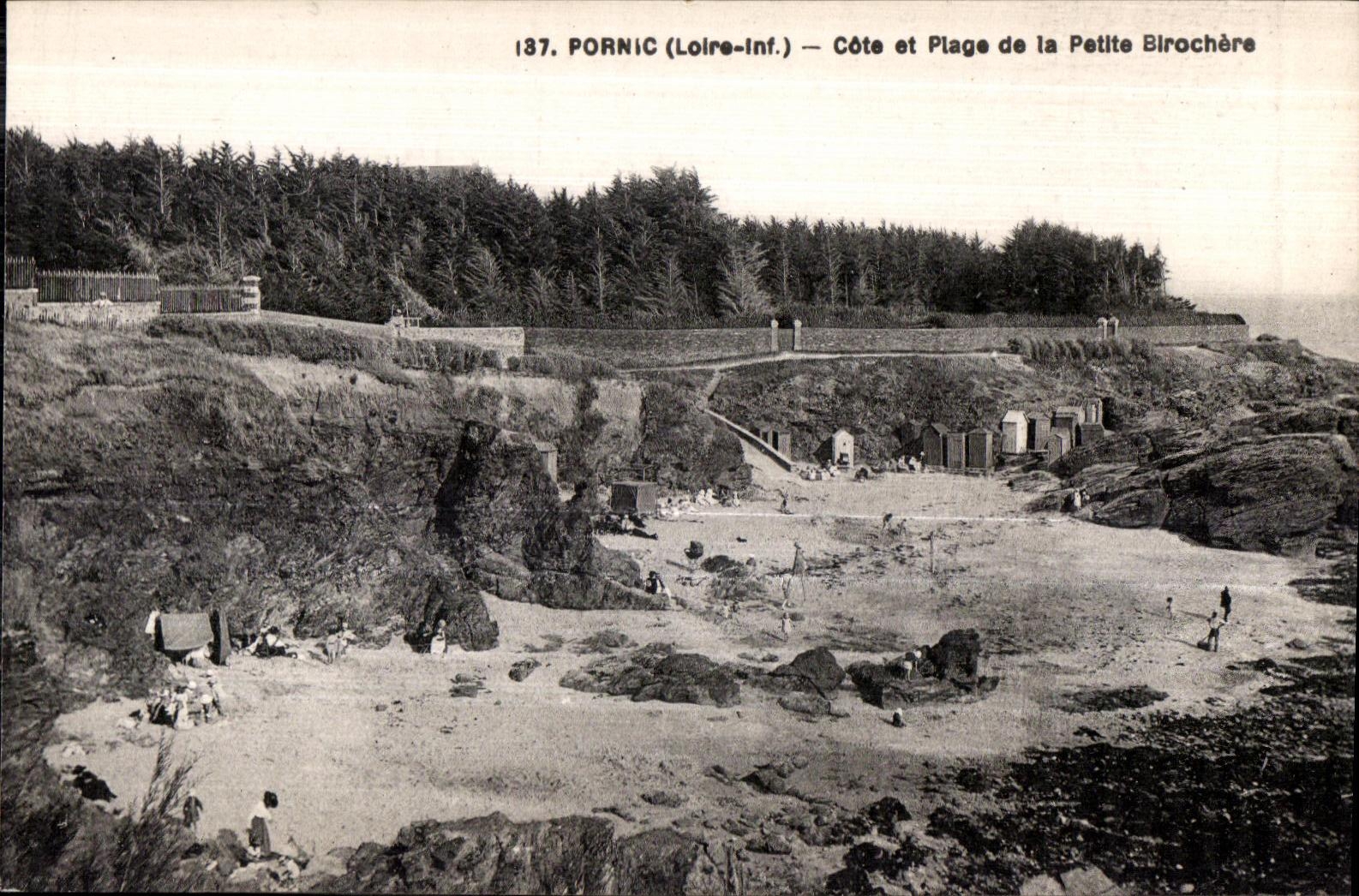 CPA Pornic (Loire-Inf ) Cote et Plage de la Petite Birochere