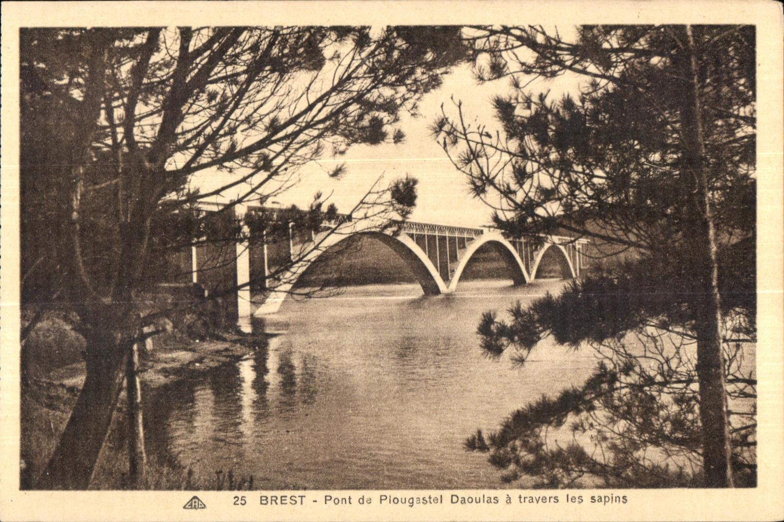 CPA Brest Pont de Plougastel Daoulas a travers les sapins