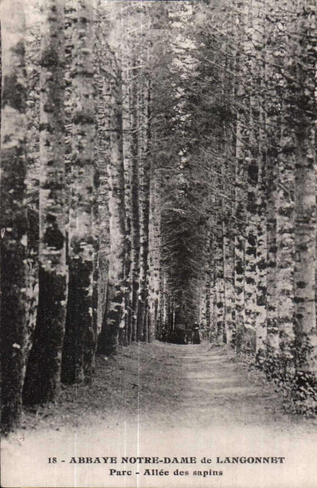 Abadia de CPA nuestra senora del parque Allee de Langonnet de los abetos
