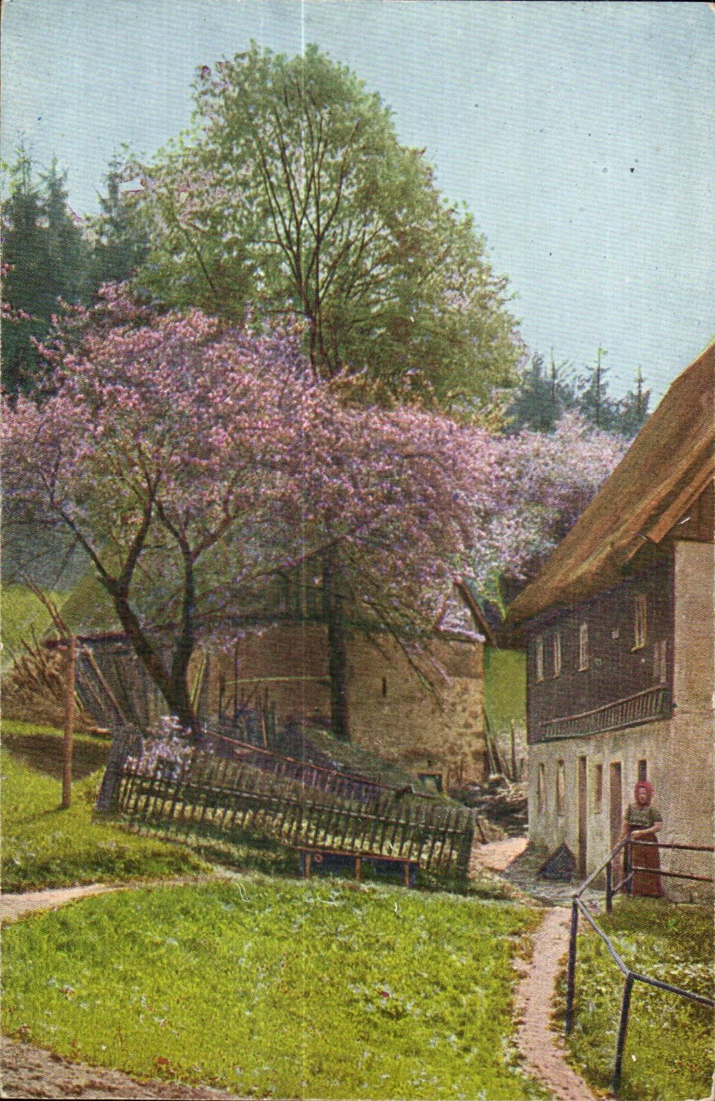 CPA Scene dans les alpages Suisse