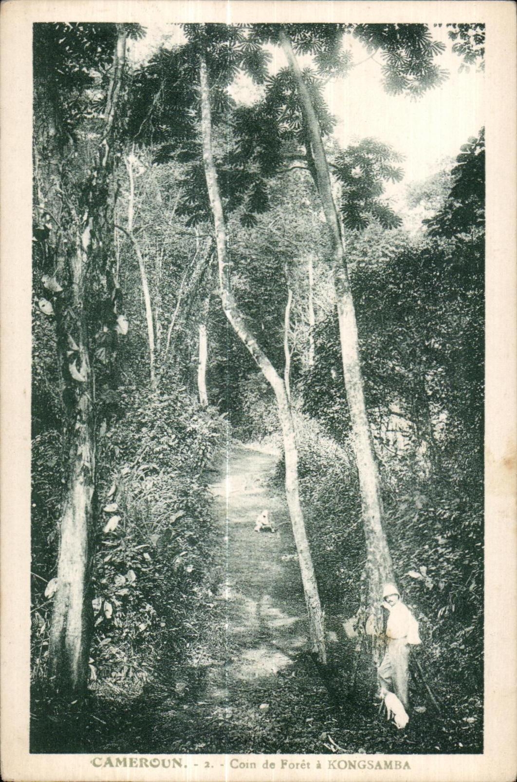 CPA Cameroun Coin of forest has Kongsamba