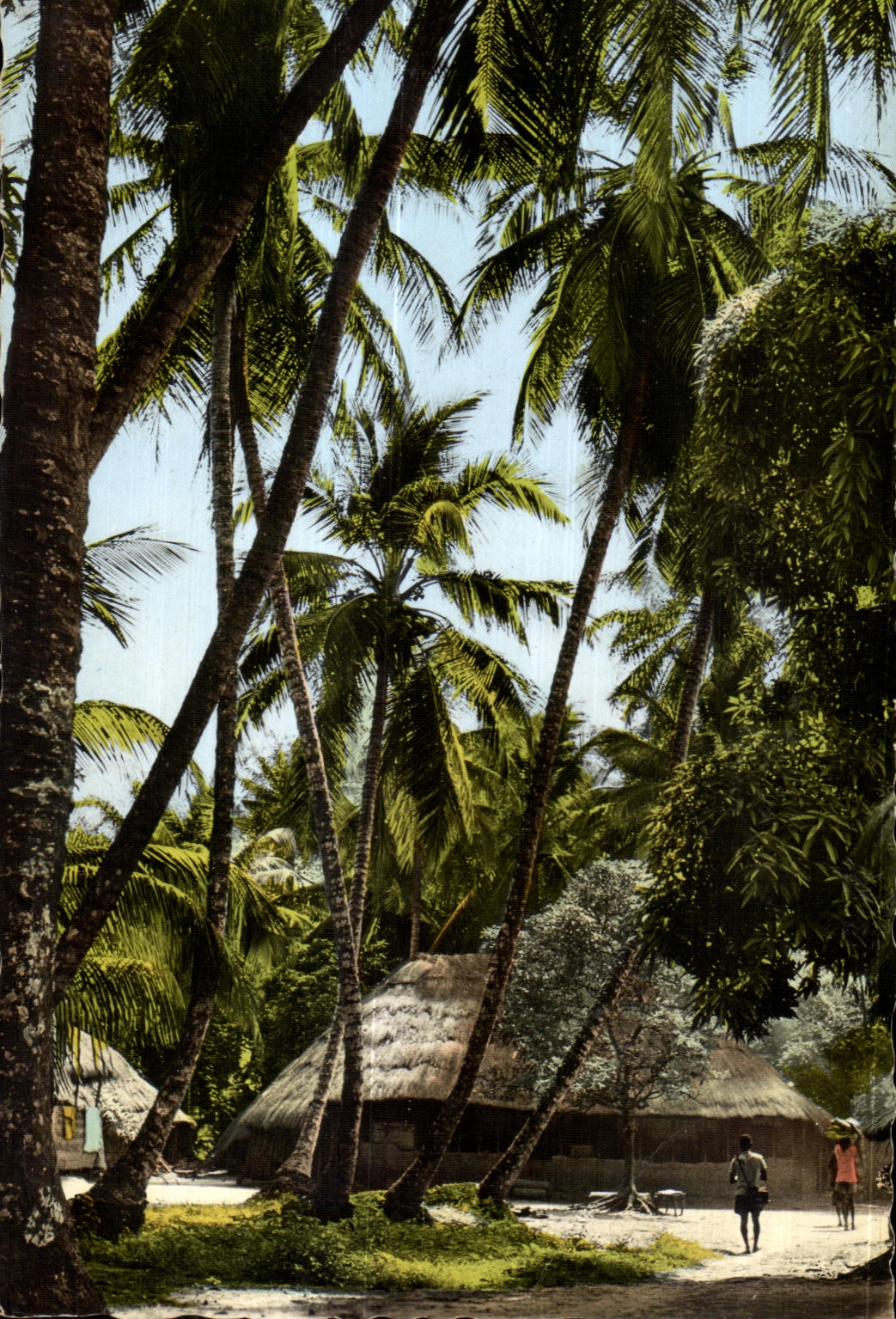 CPA L Afrique En Couleurs Village sous les Palmes