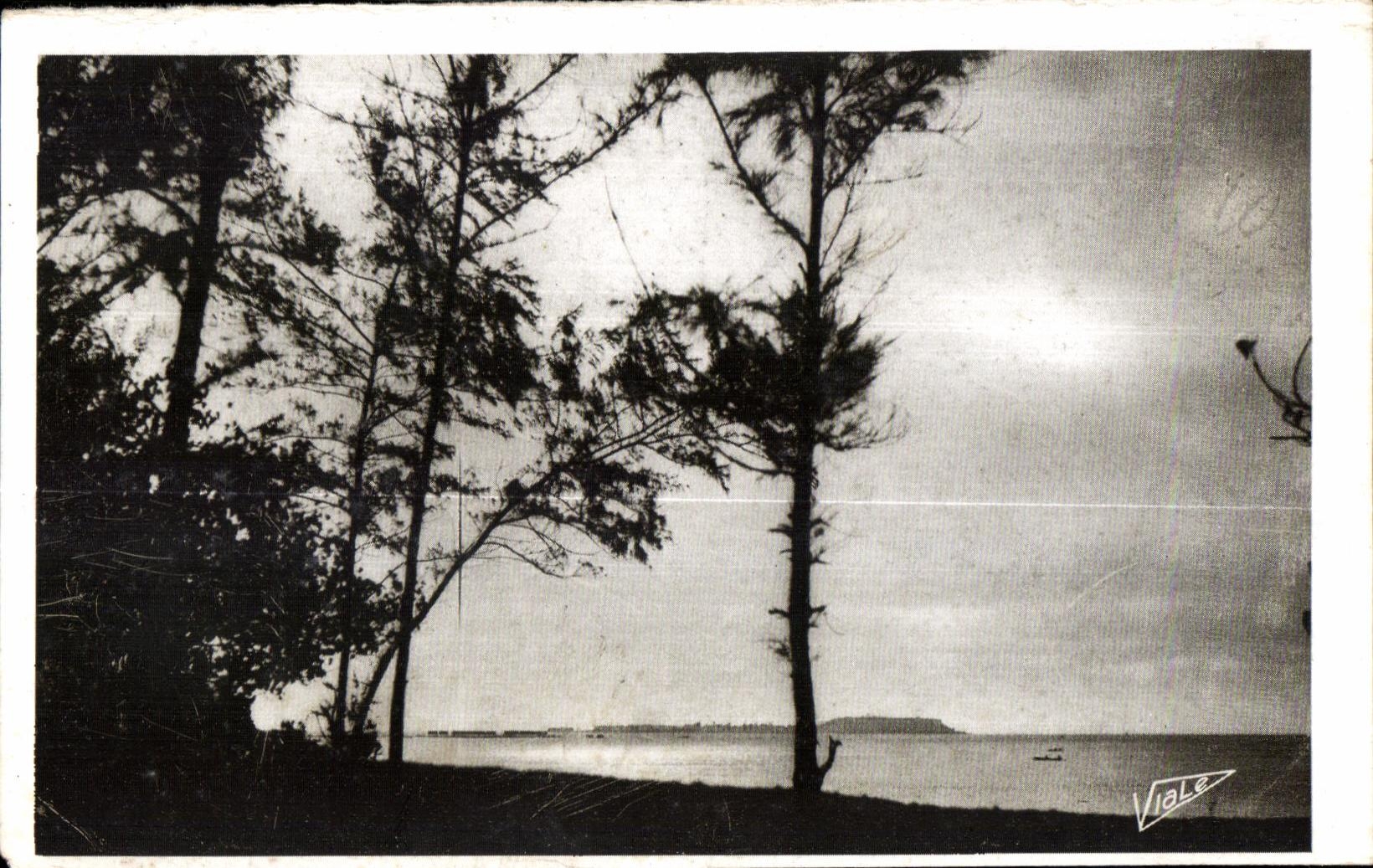 CPA Dakar Rising sun on the Senegal cornice