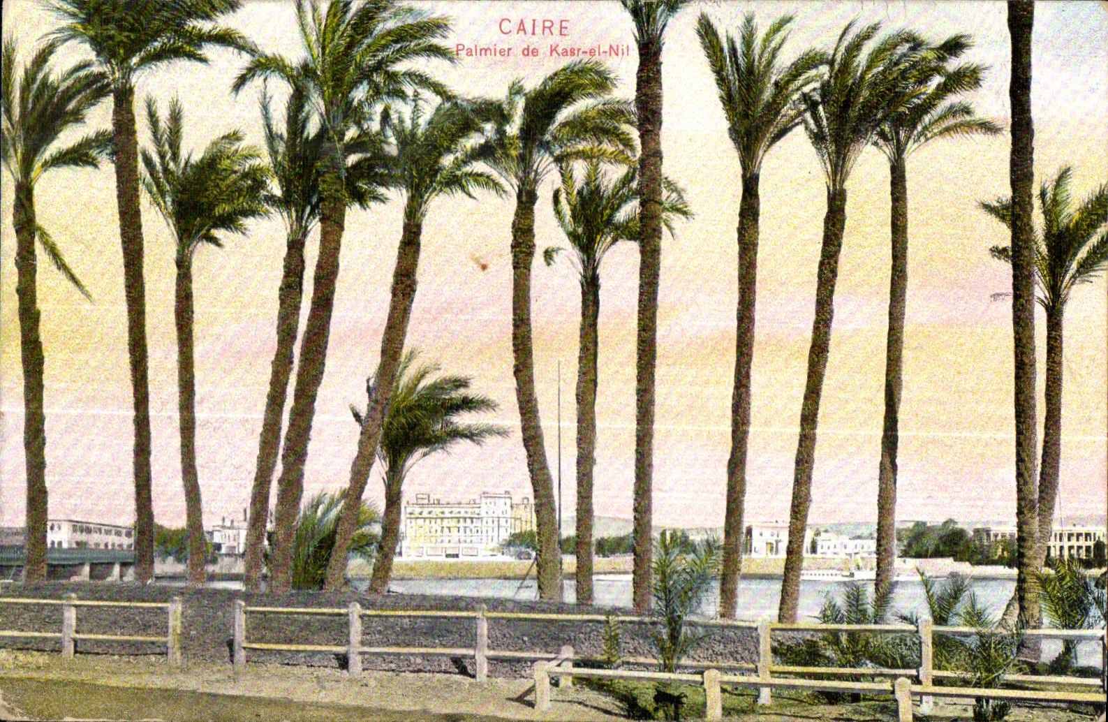 CPA El Cairo Paimer de Kasr I E (excitacion interna) el Nilo Egipto Egipto