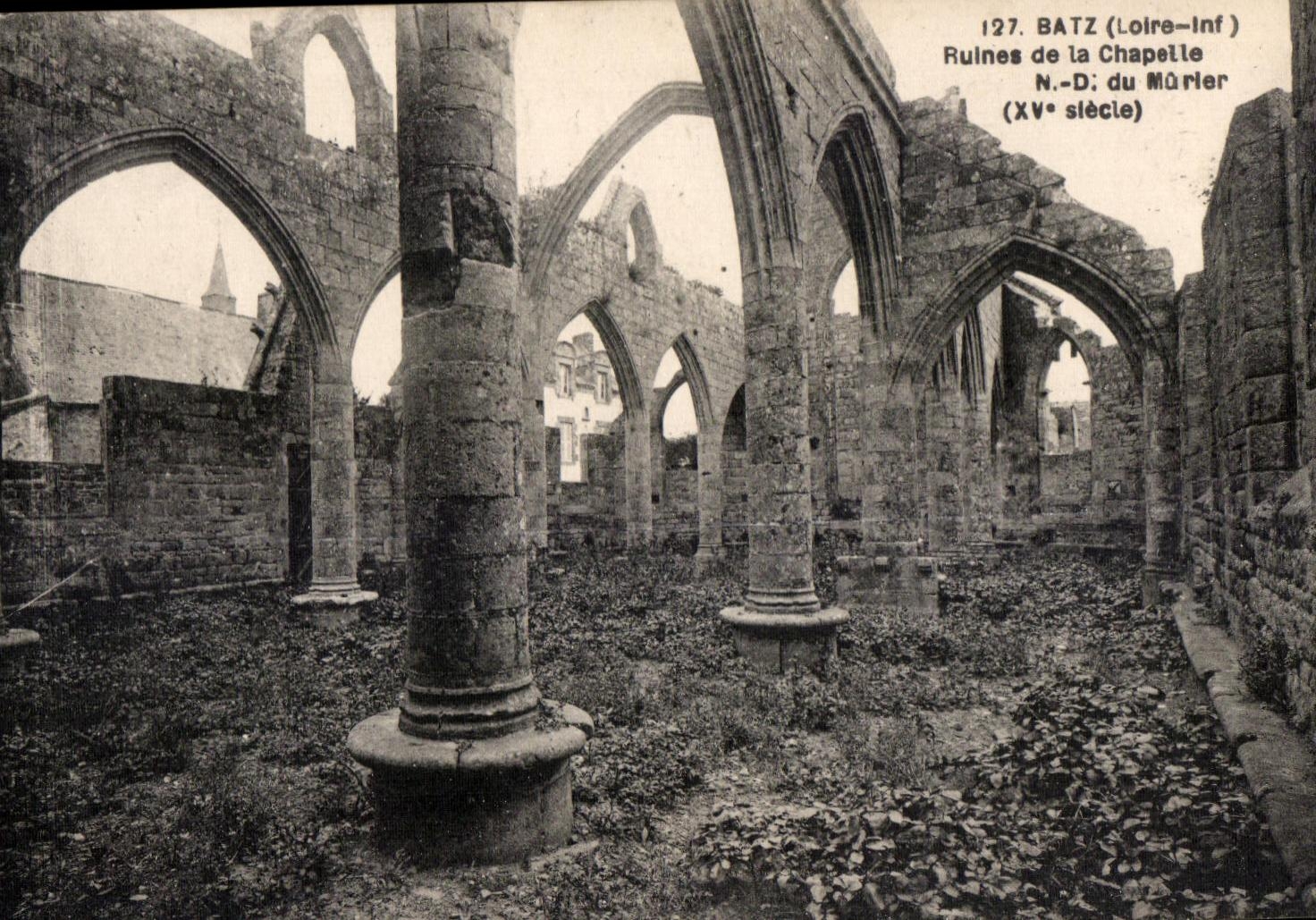 Borough of Batz - Ruins of the Notre Dame Vault of the Mulberry tree - CPA