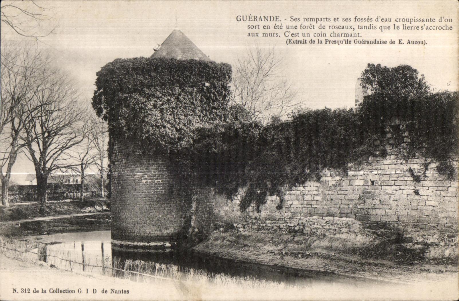 CPA Guerande Ses remparts et ses fosses d eau croupissante d ousort en cet une Foret de roseaux tandis que le lierre s a
