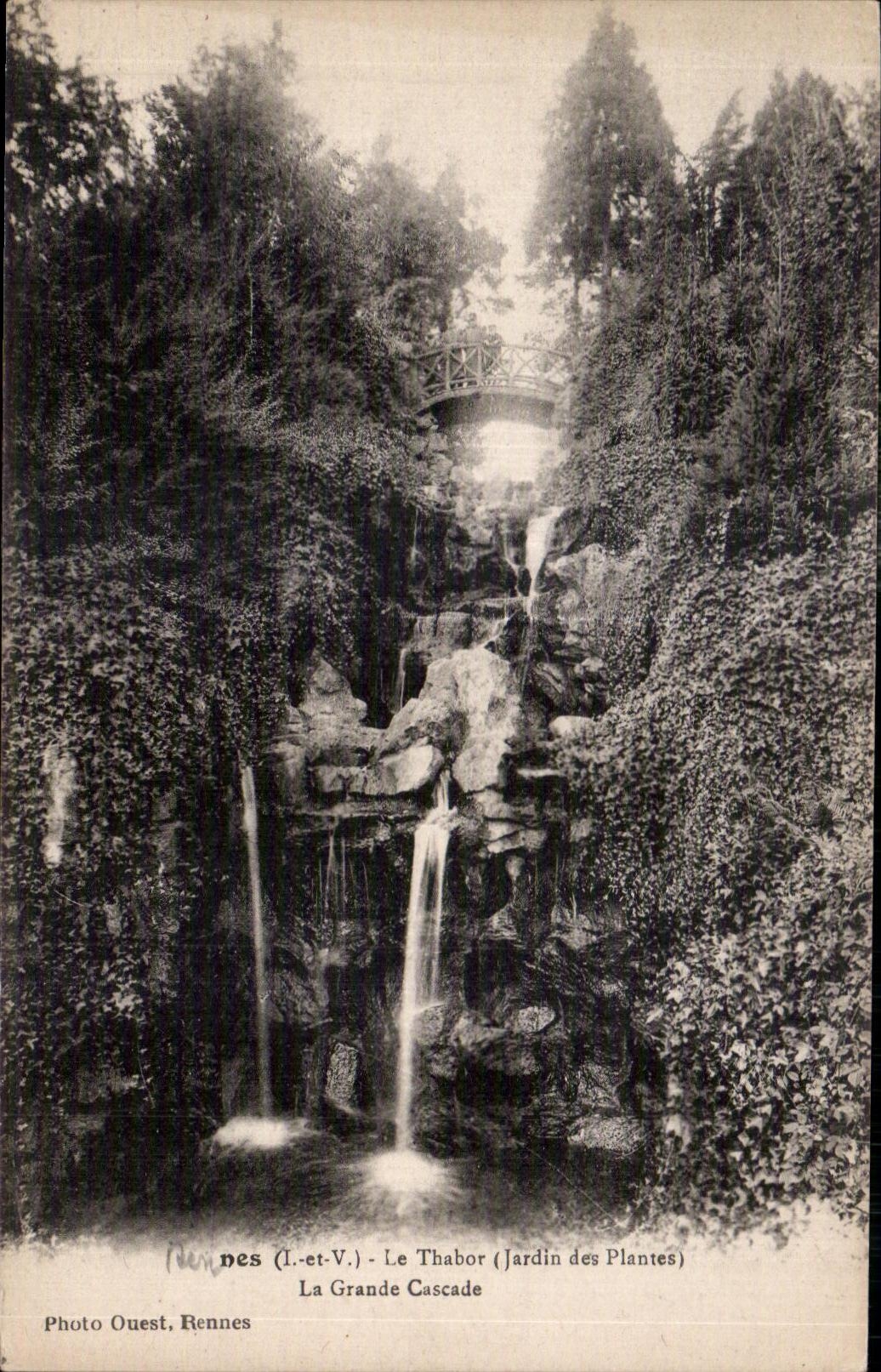 CPA Rennes Le Thabor (Jardin des Plantes) La Grande Cascade