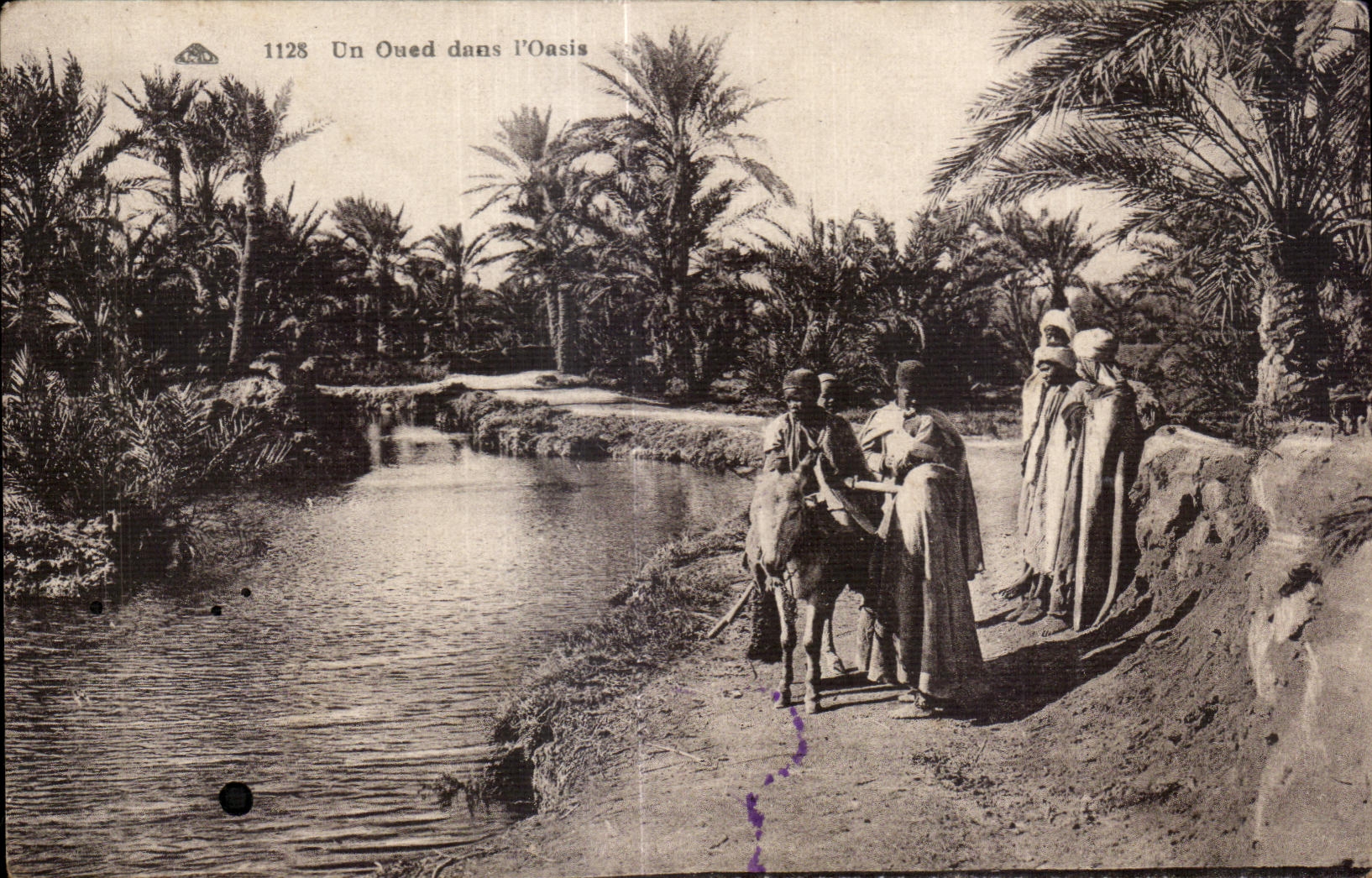 Africa del Norte de CPA un lecho de un rio seco en burro del asno del oasis