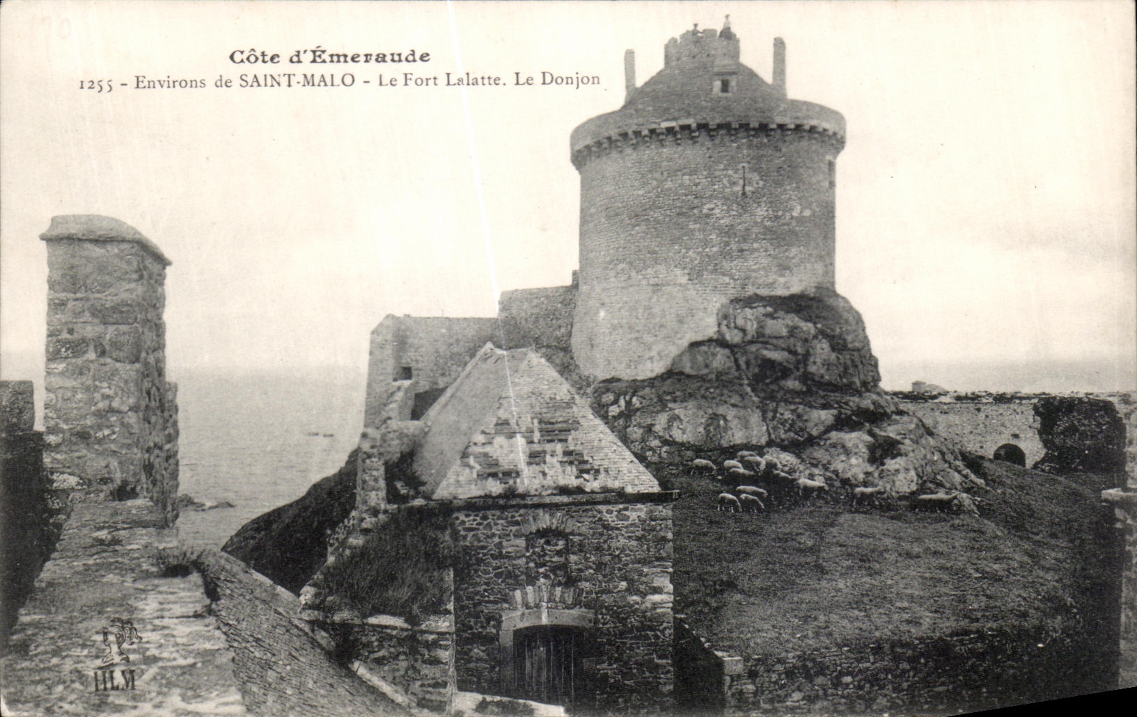 CPA Dimensions Emeraude Malo Saint Fort Laistte the Keep