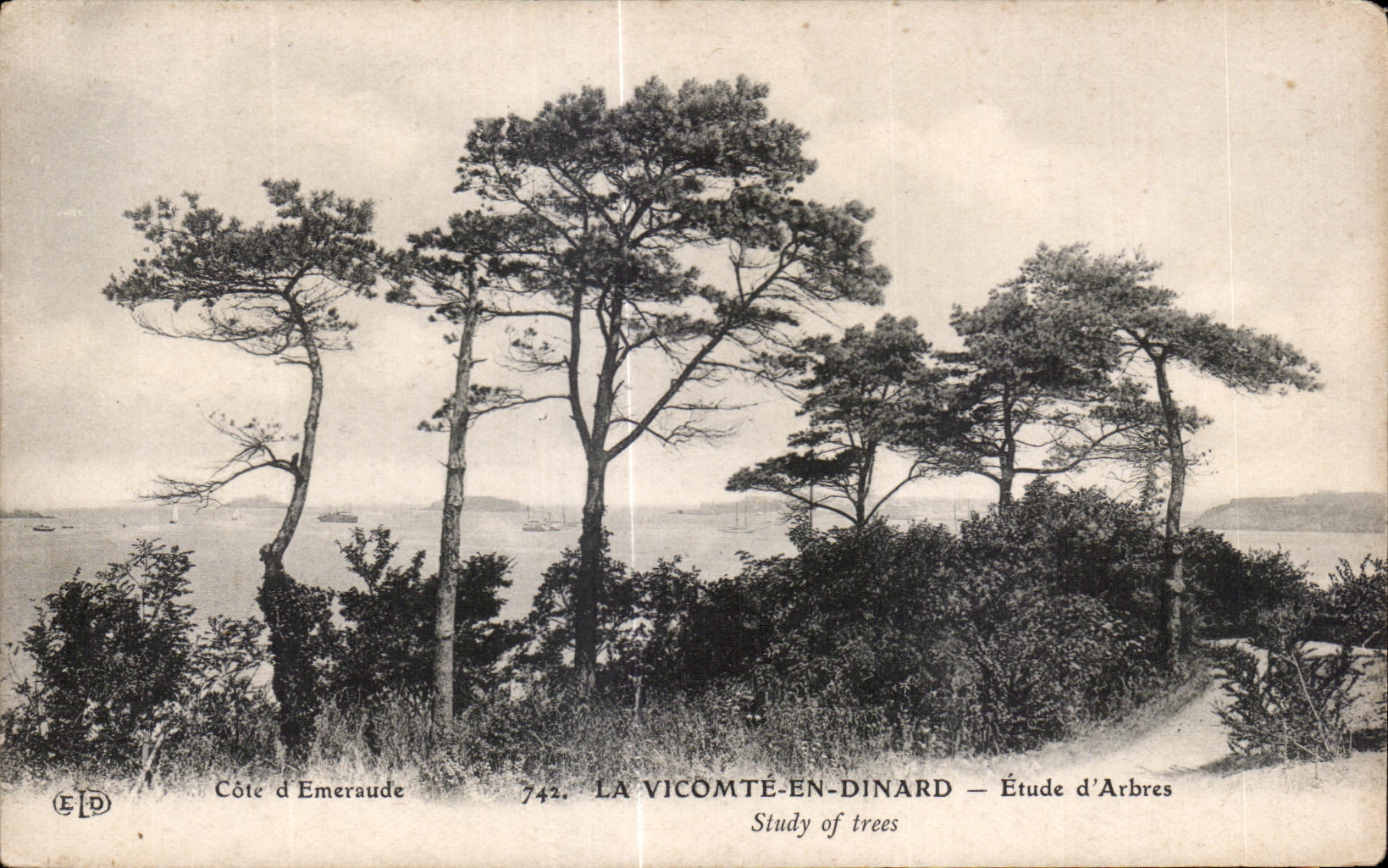 CPA Dinard La Vicomte En Etude d Arbres