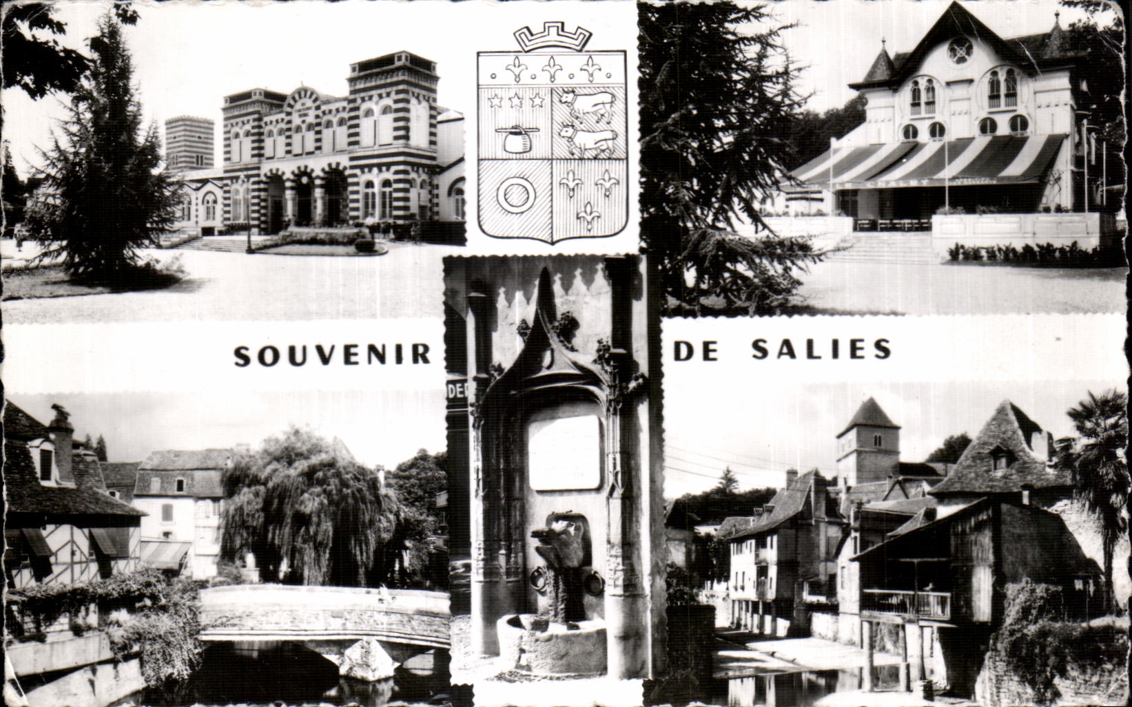 CPA Souvenir De Salies