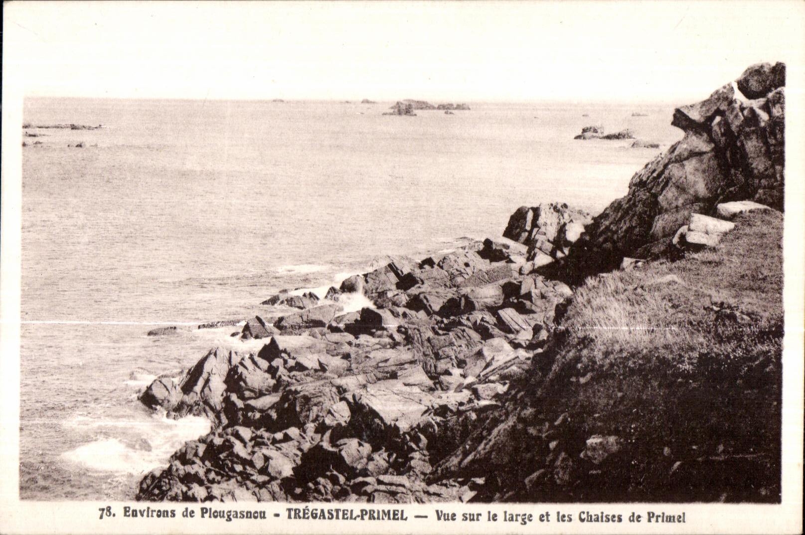 CPA Environs dePlougasnou Tregastel Primel vue sur le large et les Chaises de Primel