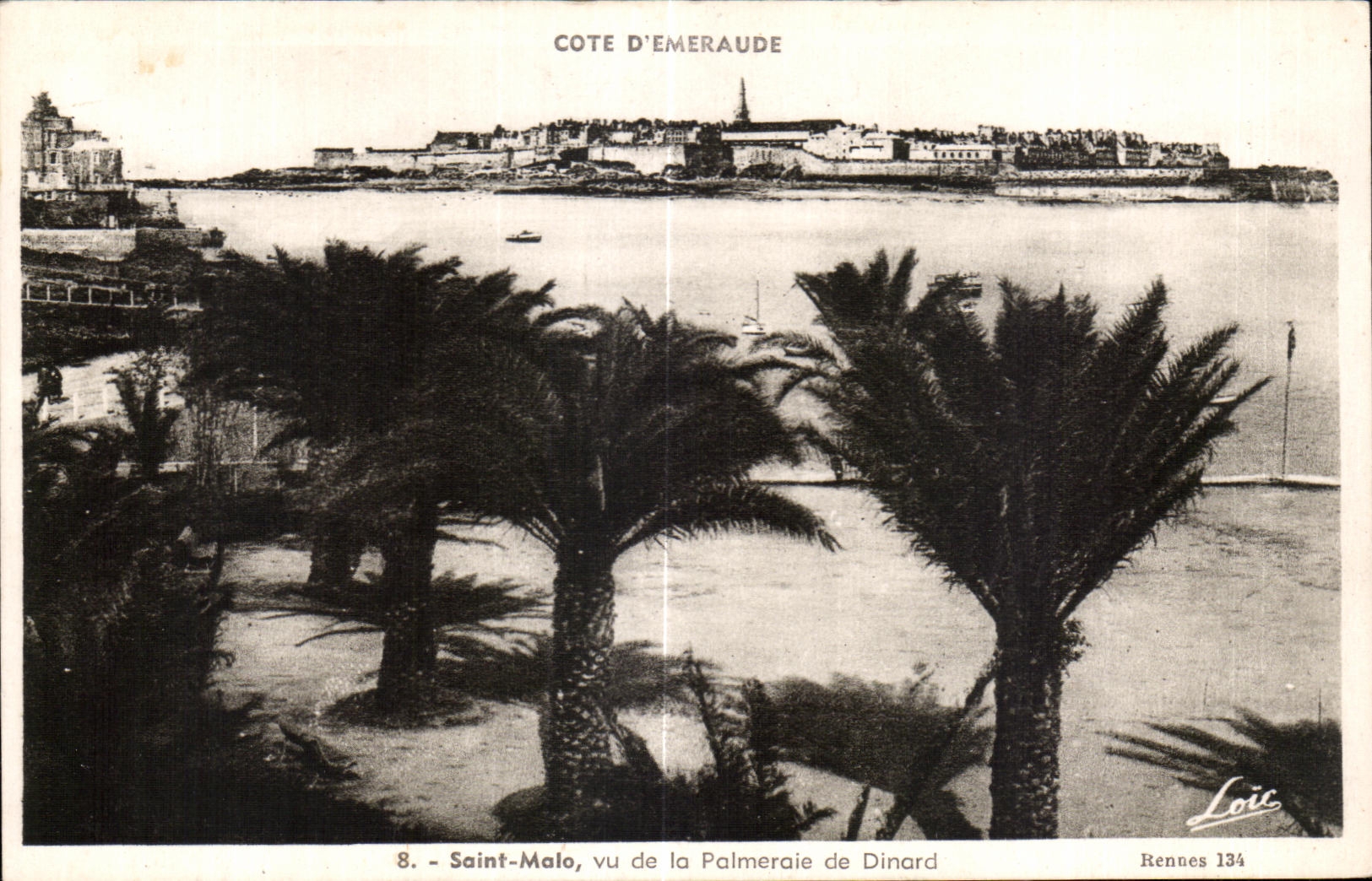 CPA Saint Malo Seen of the Palm plantation of Dinard