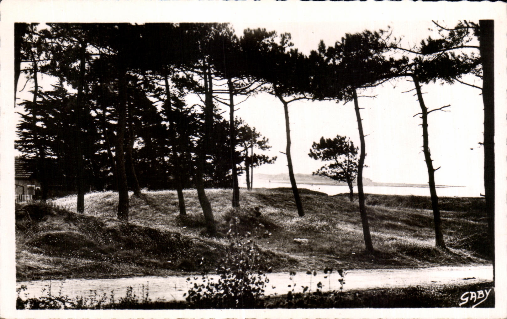 CPA Pornichet Pines and Points towards Sainte Margurite