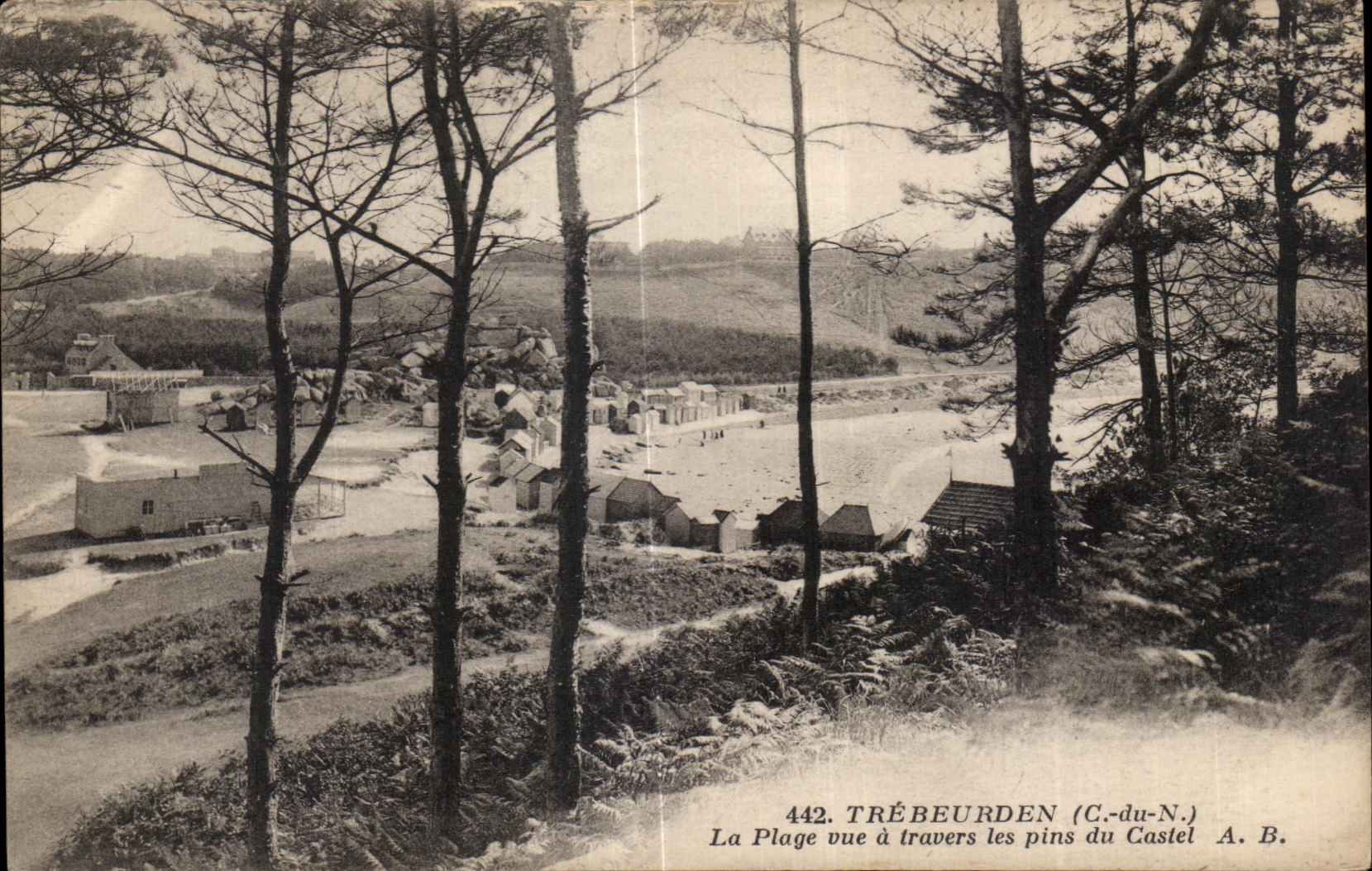 CPA Trebeurden La Plage vue a Travers les pins du Castel