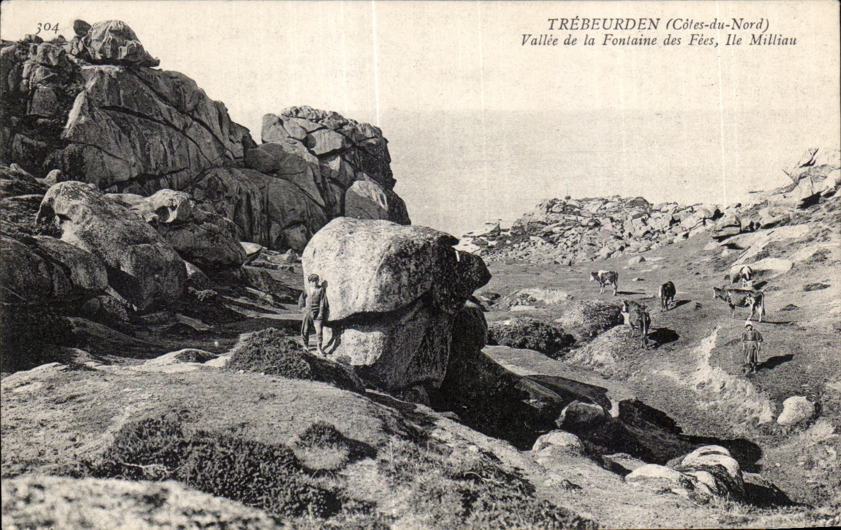 CPA Trebeurden Vallie de la Fonlaine des Fies Ile Millian Berger et vaches