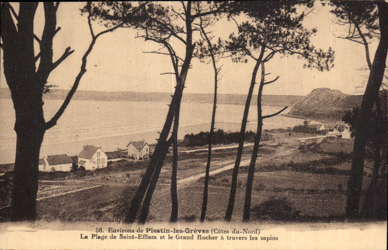 CPA Environs de Plestin les Greves La Plage de Saint Efflam et la Grand Rocher a Travers les Sapins
