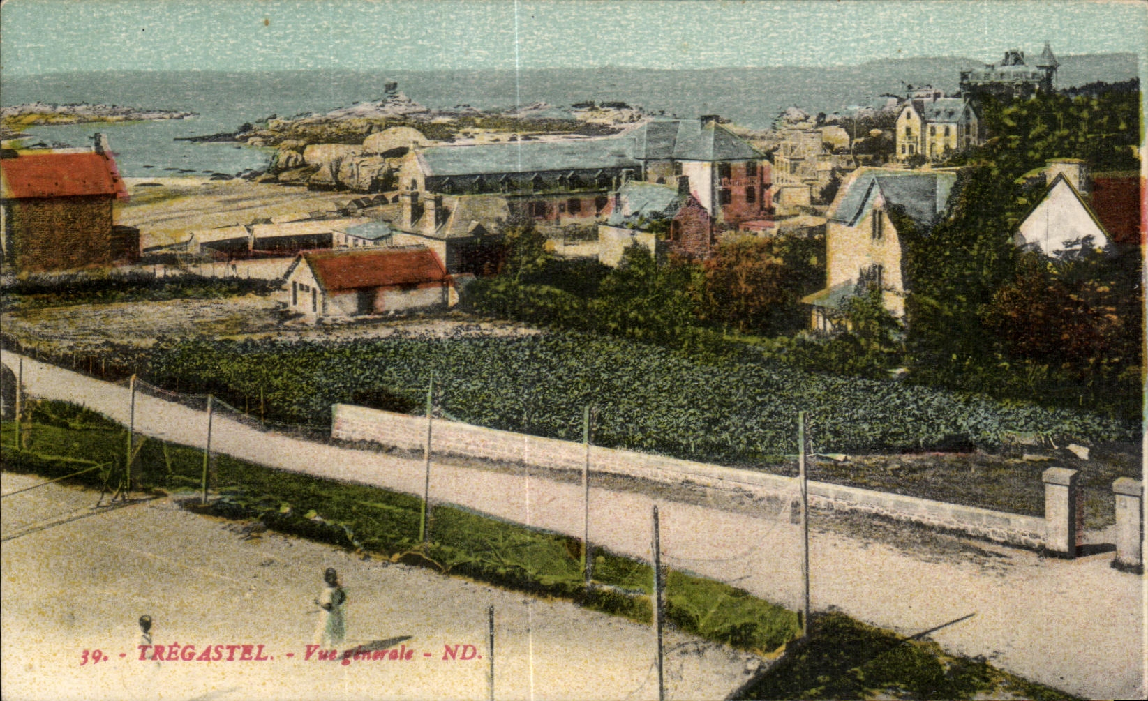CPA Tregastel Vue Generale