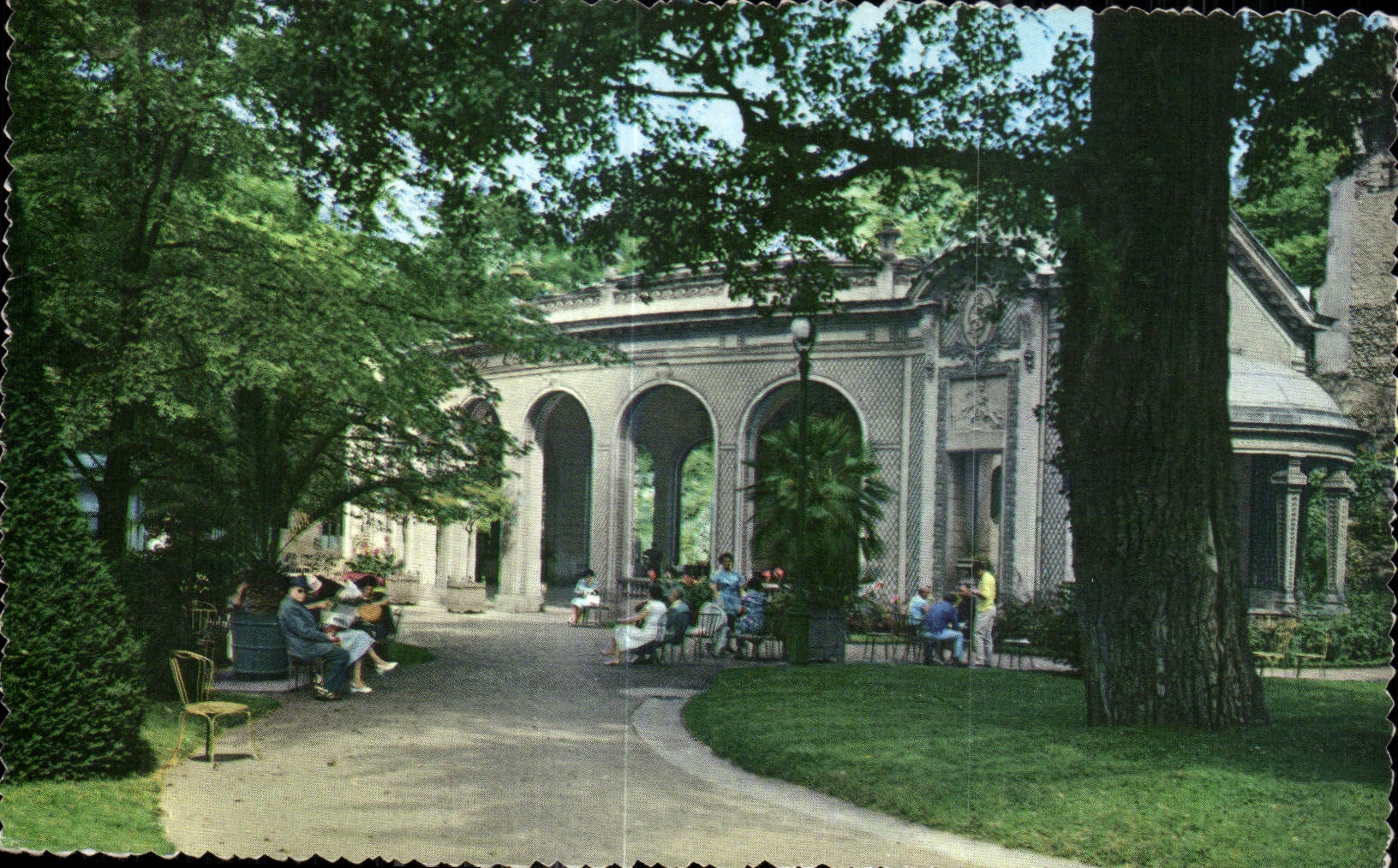 CPA Vichy Allier the Celestins Source