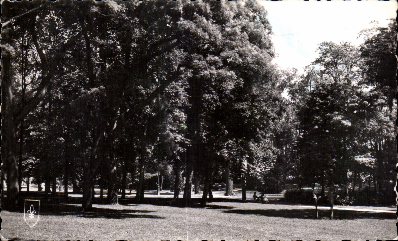 CPA Vichy Allier Un coin du Parc