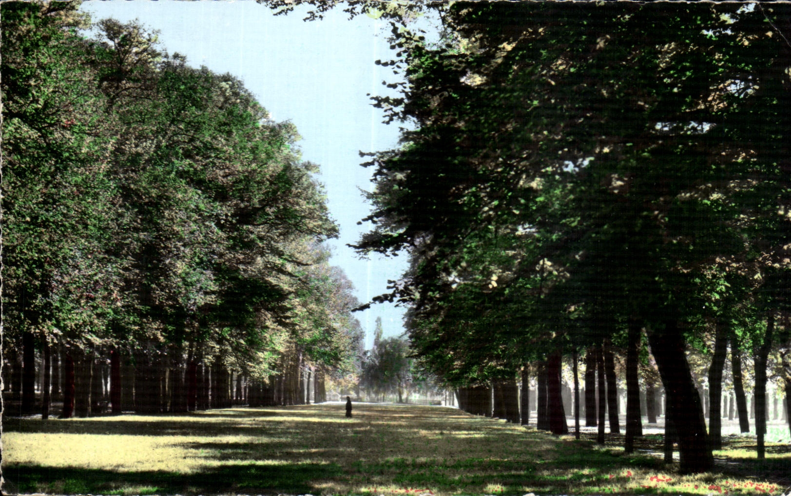 CPA St Quentin Aisne Les Champs Elysees