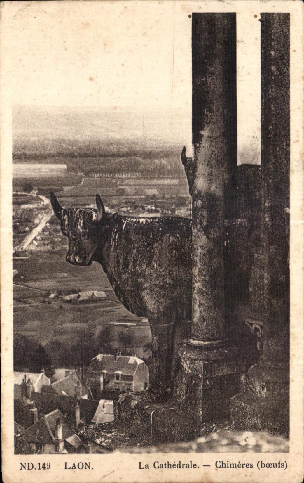 CPA Laon the Cathedral Dreams (oxen)