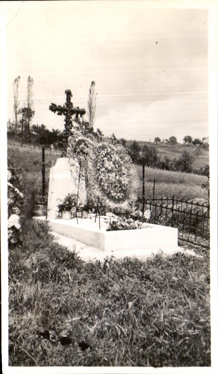 Photo Genissiat falls Borel dad