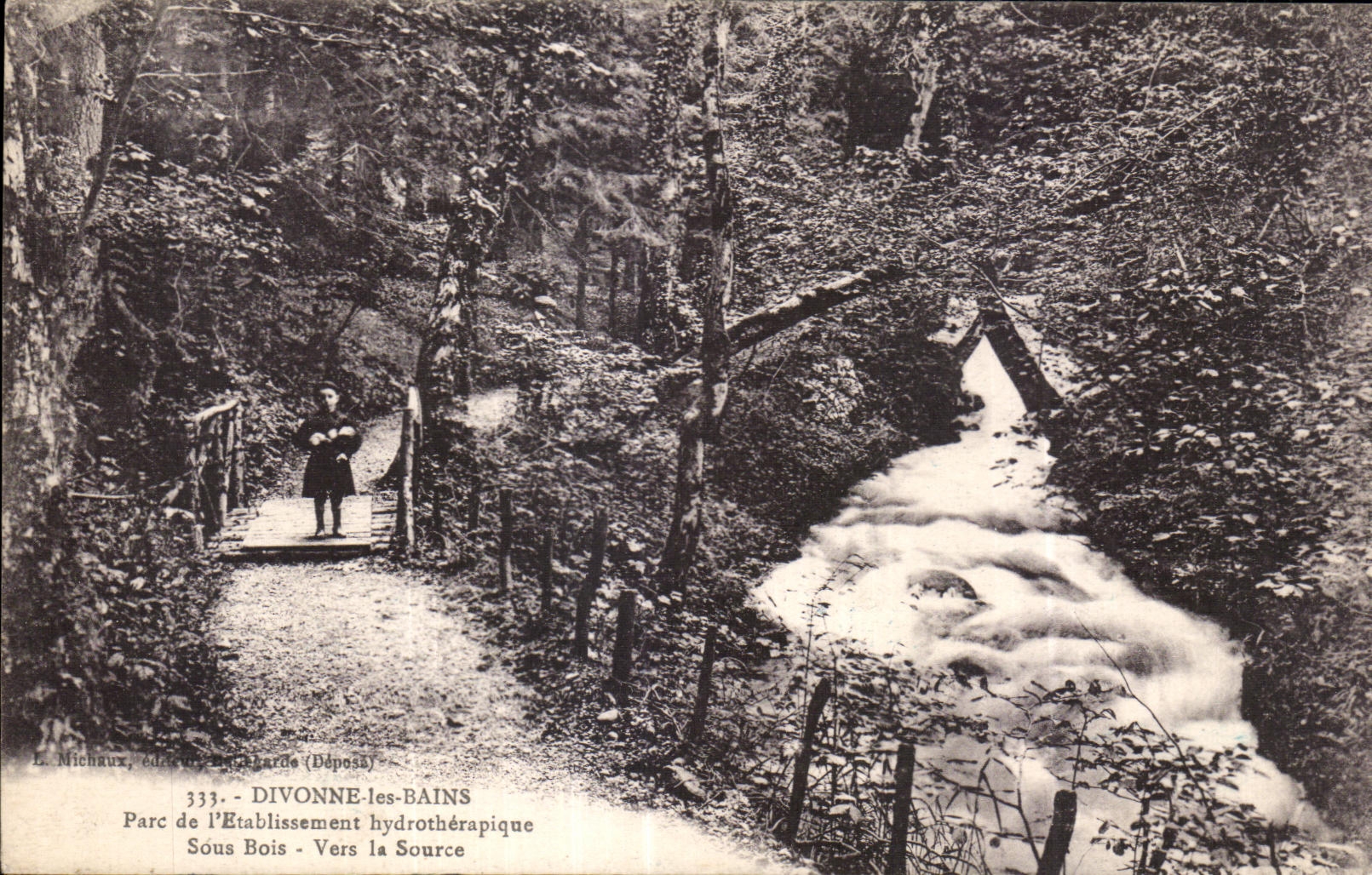 CPA Divenne les Bains Parc de l Etablissement hydrotherapique Sous Bois Vers la Source
