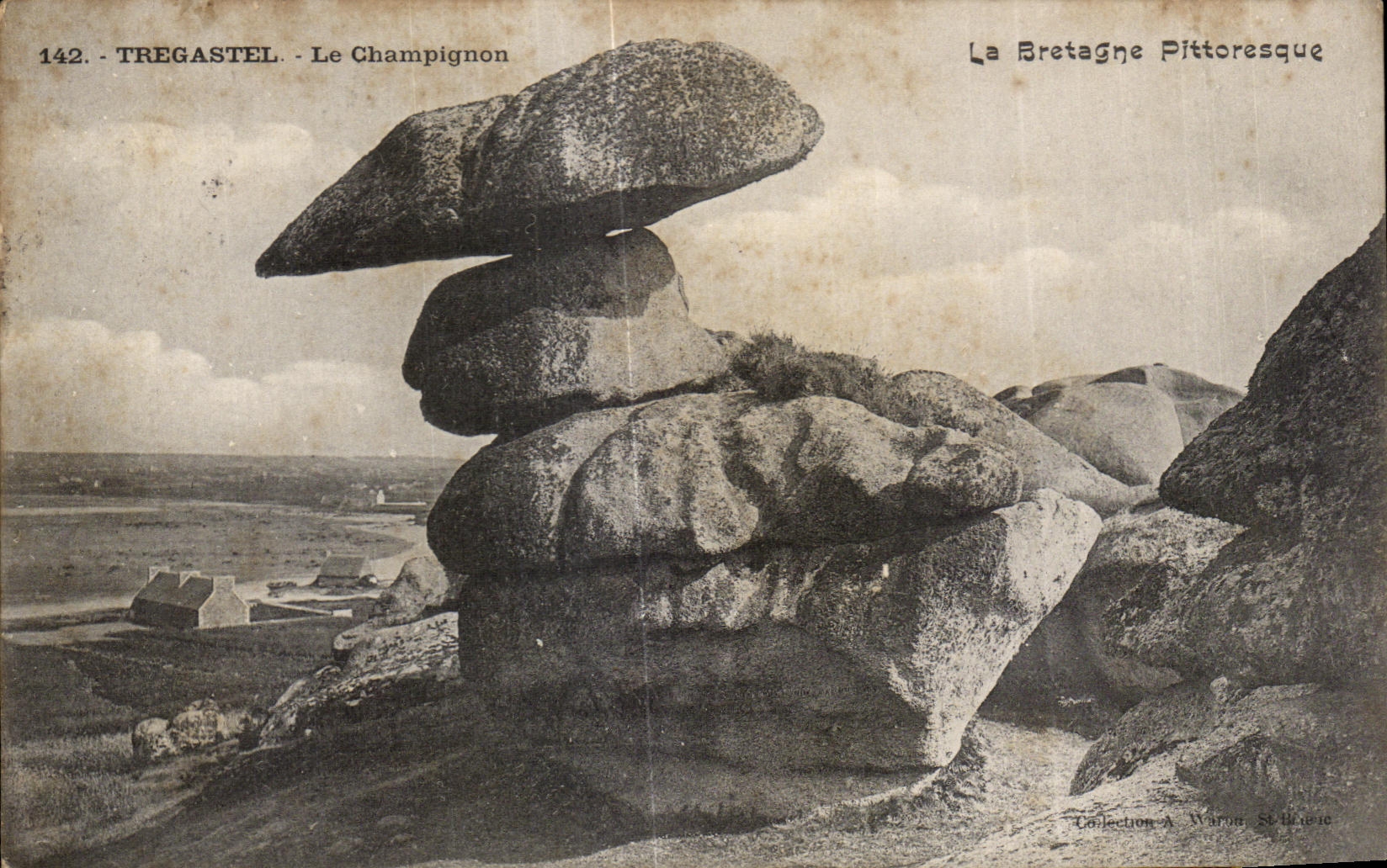 CPA Tregastel Le Champignon
