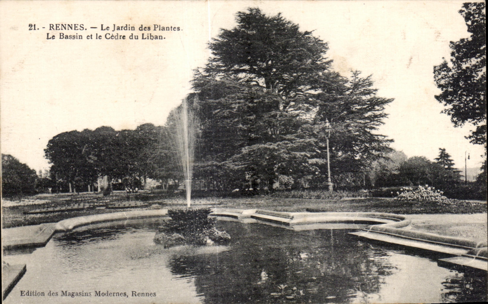 CPA Rennes Le Jardin des Plantes Le Bassin et le Cedre du Liban