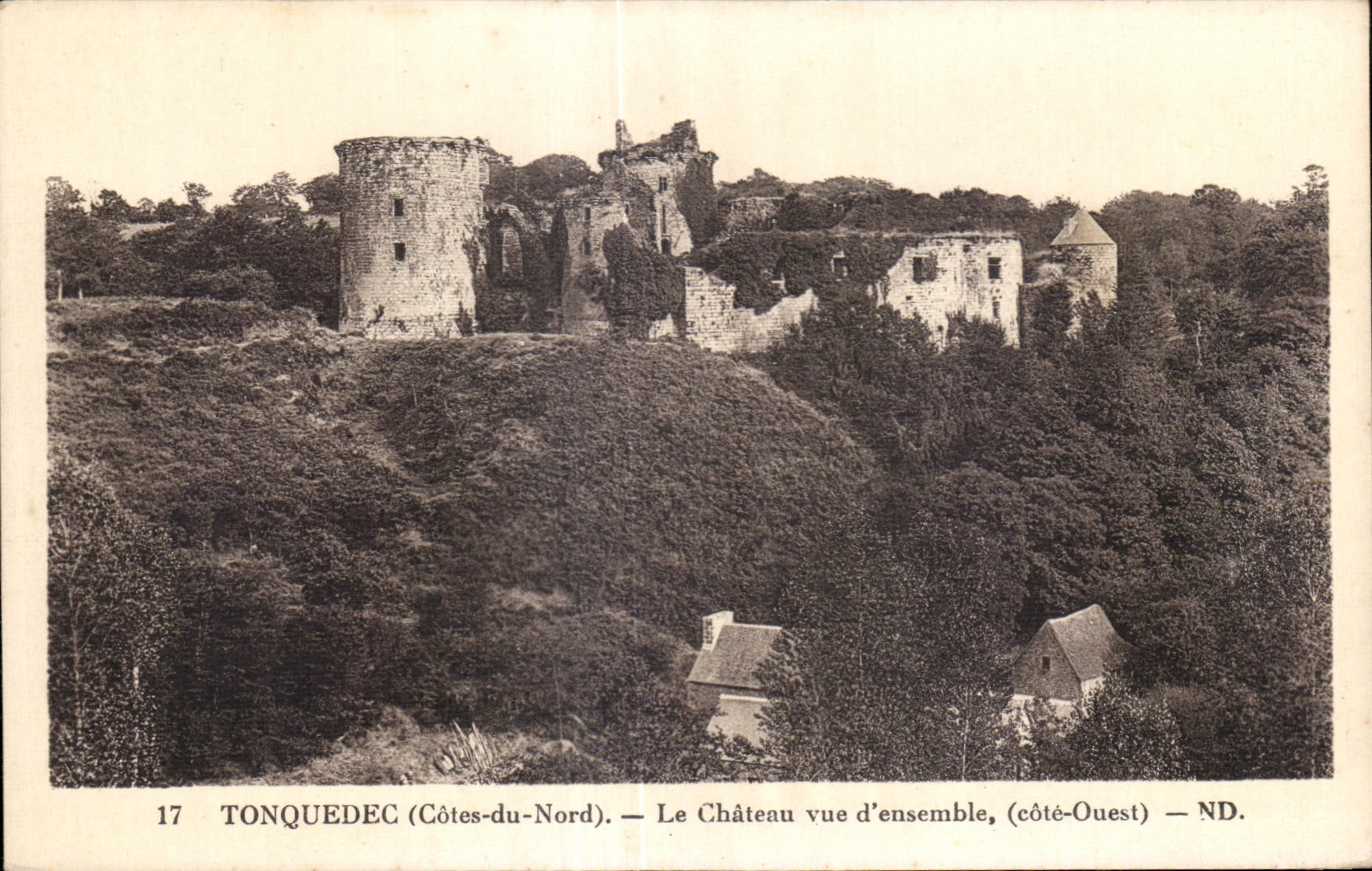 CPA Tonquedec (Cotes du Nord) Le Chateau Vue d ensemble