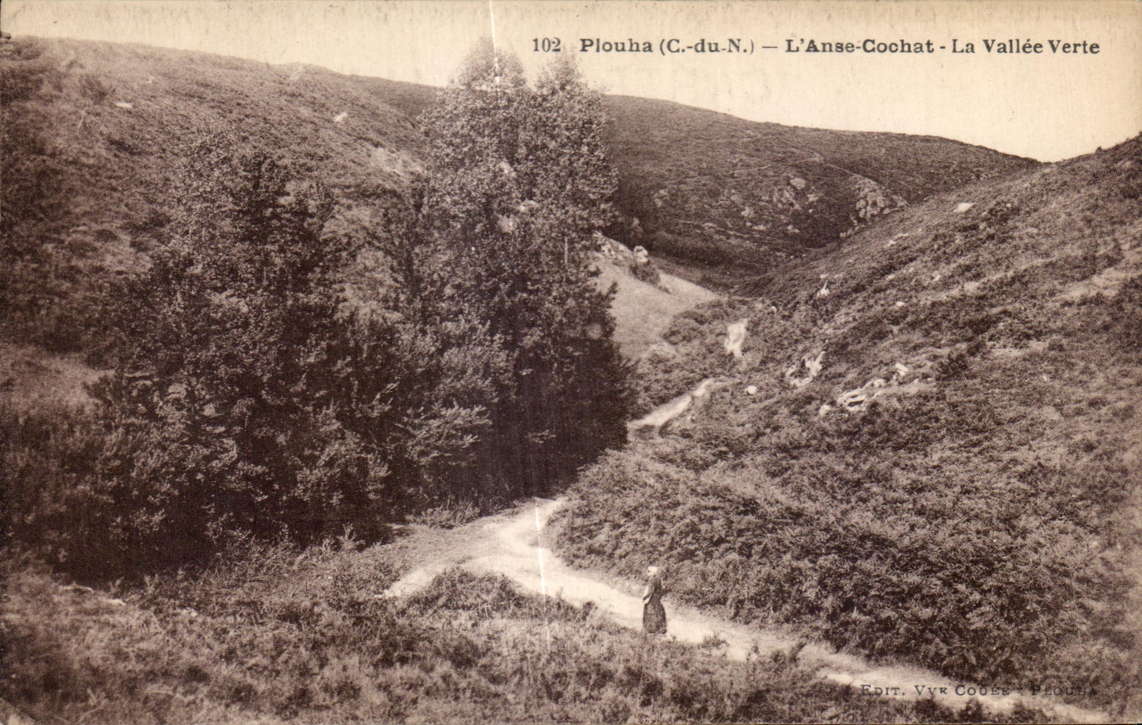 CPA Plouha L Anae Cochat La Vallee Verte
