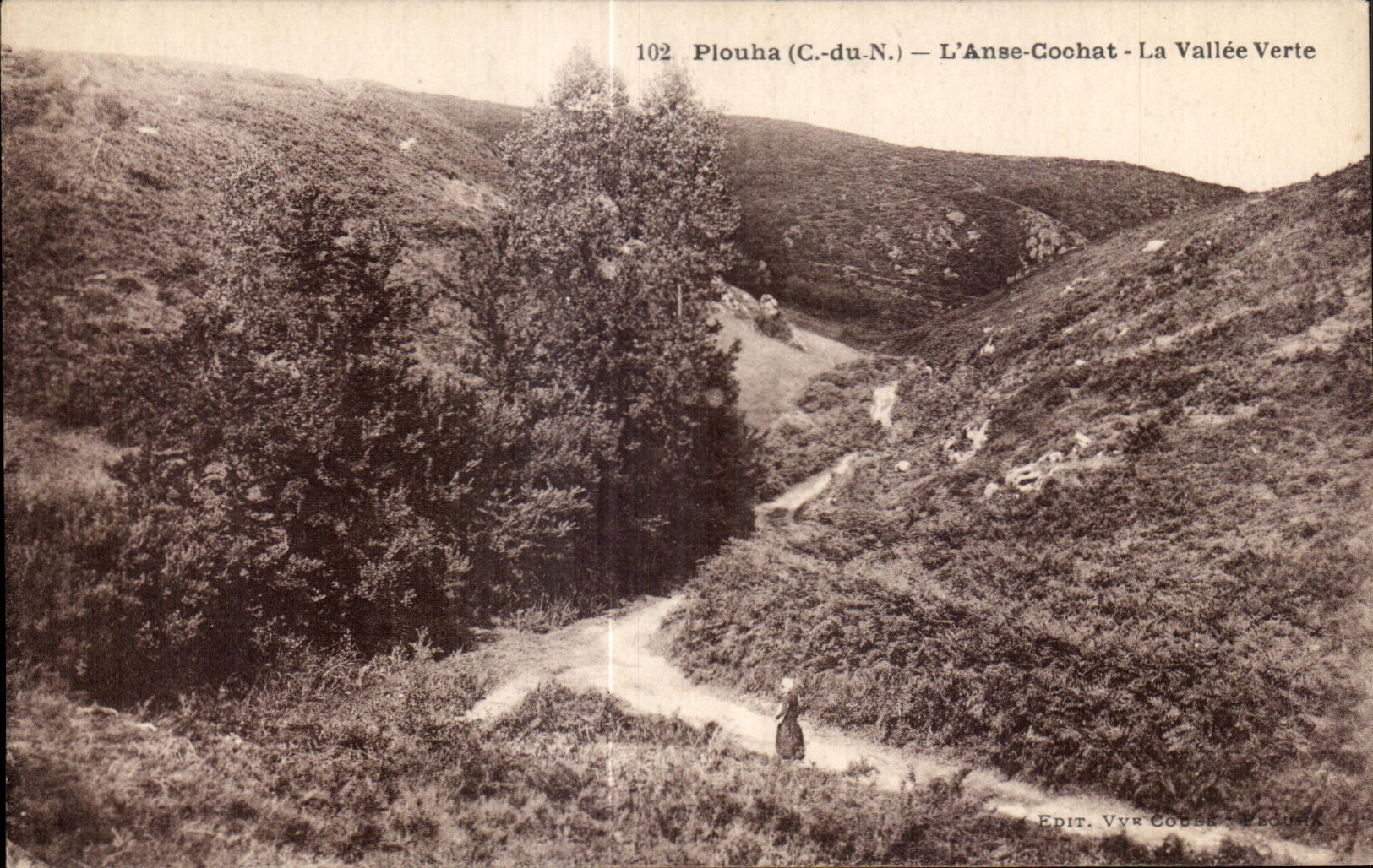 CPA Plouha L Anse Cochat La Vallee Verte
