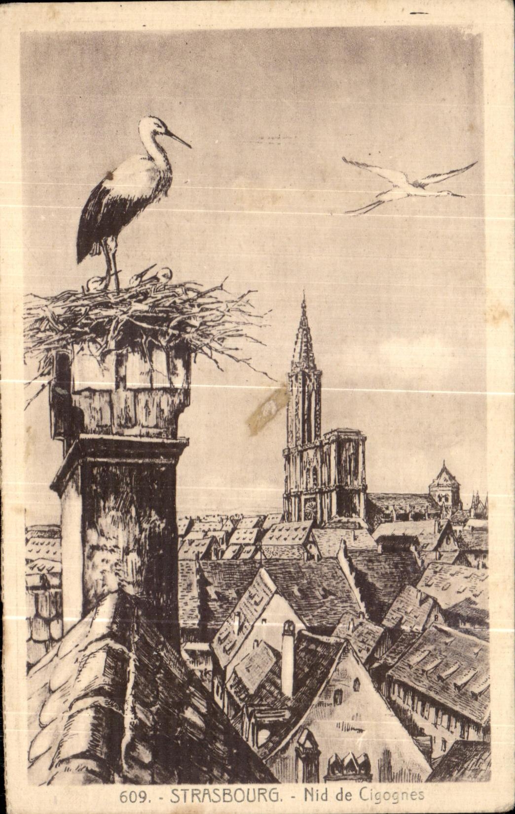 CPA Strasburg Nest of Strasbourg Storks
