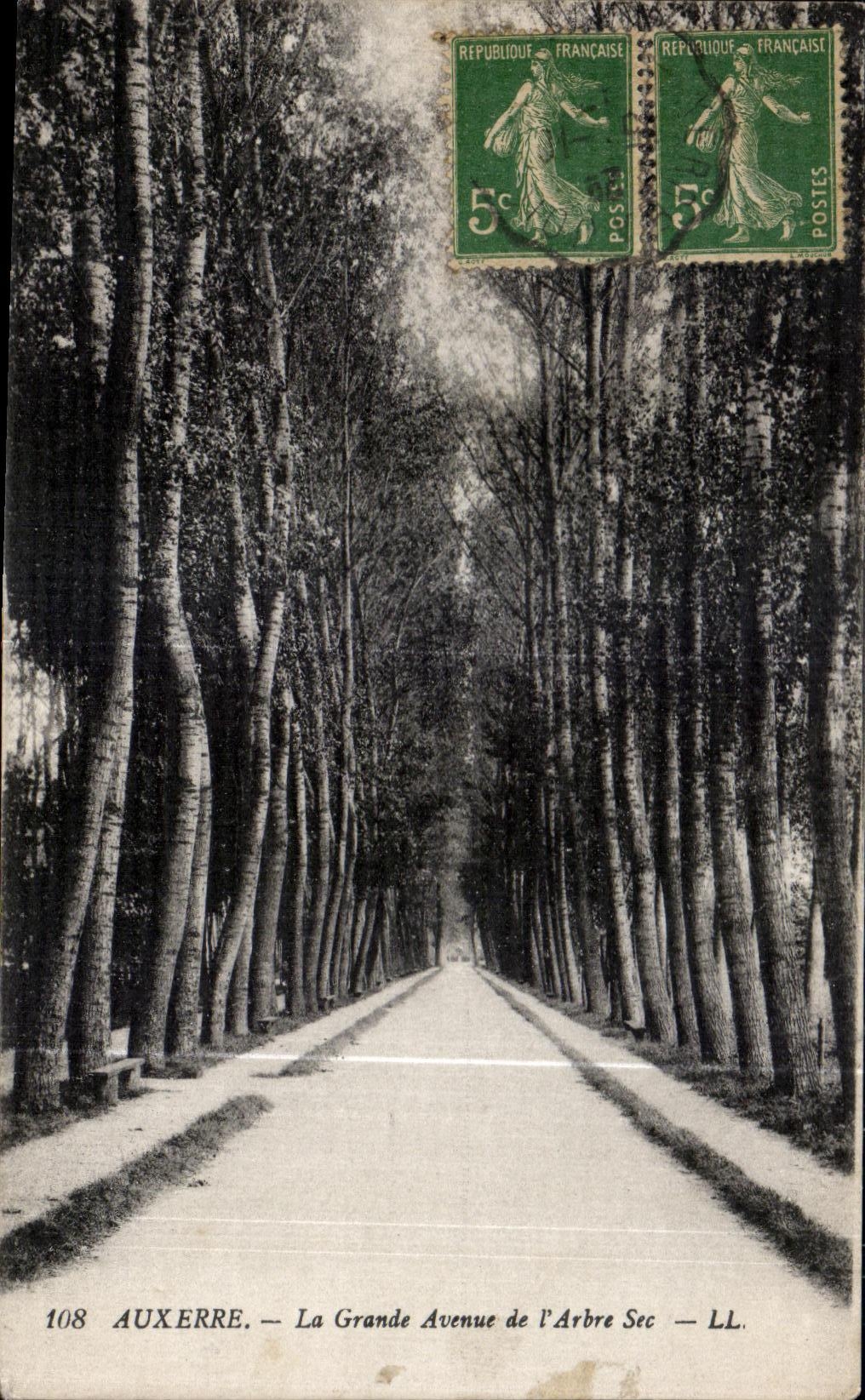 CPA Auxerre the Large Avenue of Dry Tree