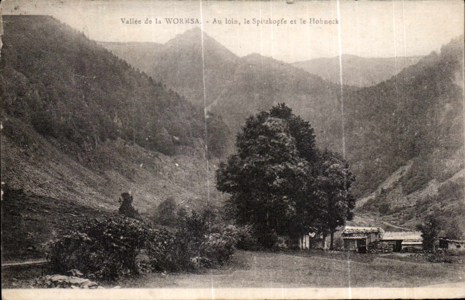 CPA Valle of Wormsa With far Spitzkopfe and Hohneck