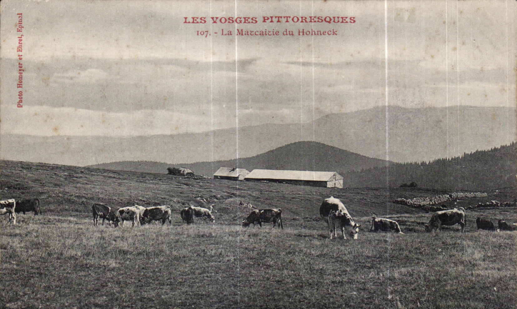 CPA the Picturesque Vosges Marcairie of Hohneck