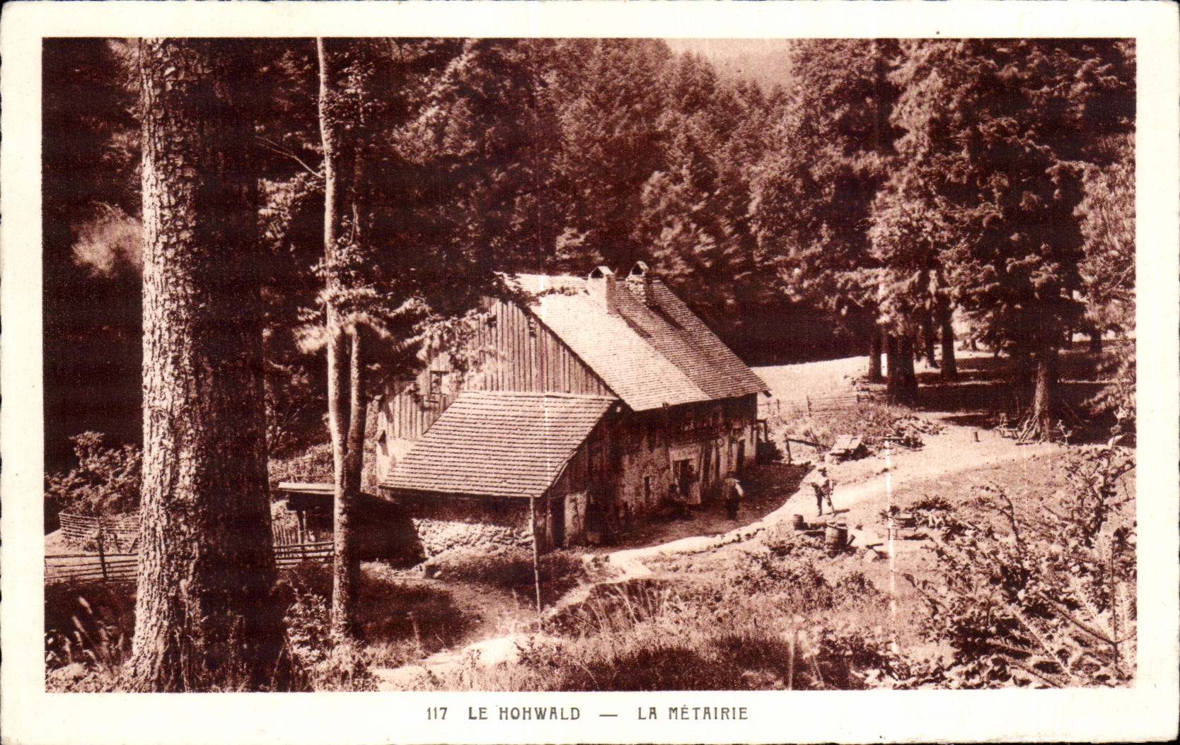 CPA Hohwald the Smallholding