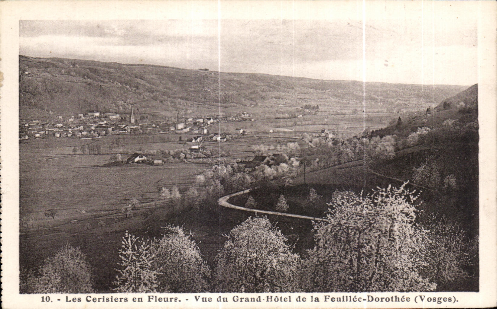 CPA Cherry trees in Fleure Seen of the Large Hotel of Feuillee Dorothee (the Vosges)
