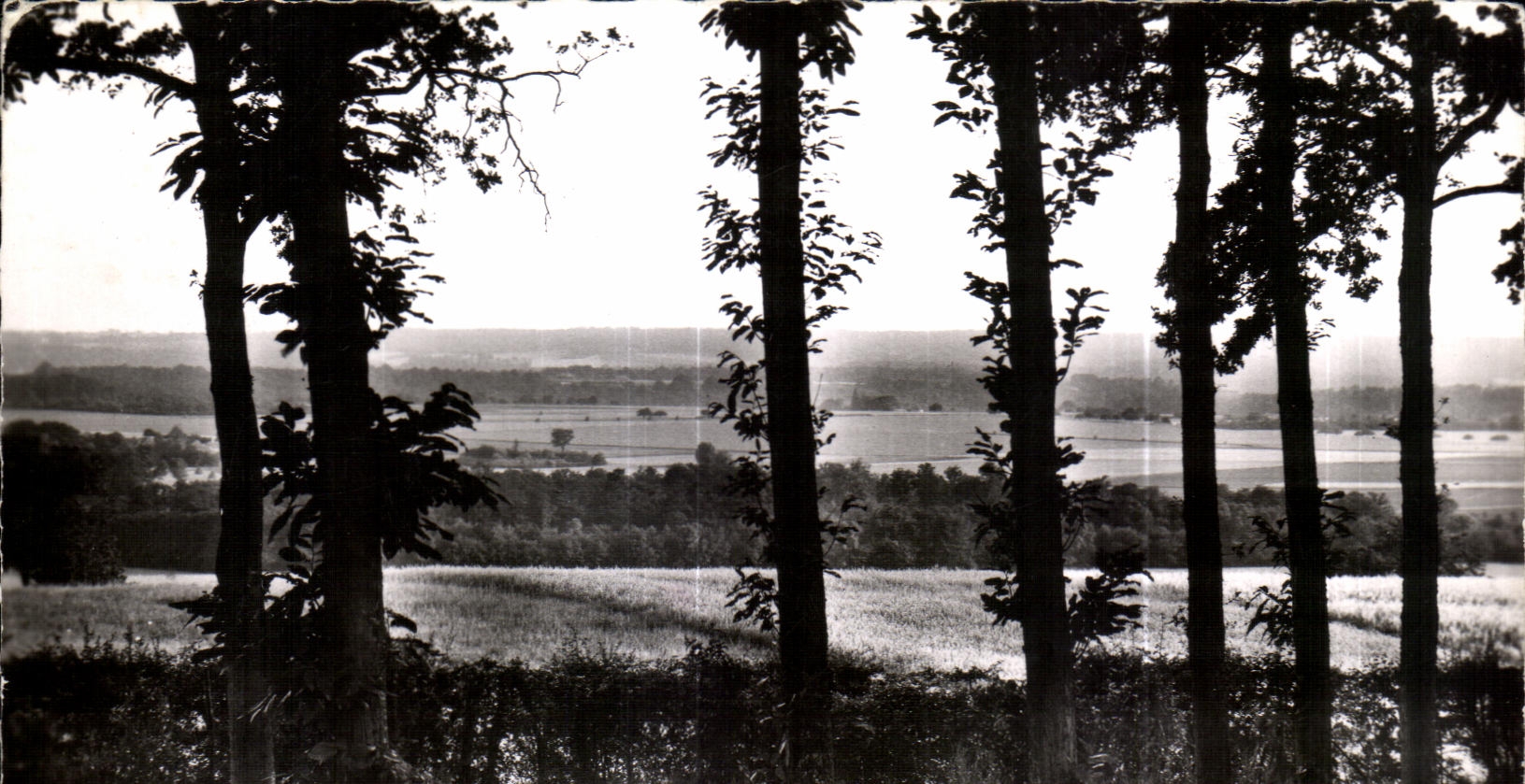 CPA Bligny Panorama pris de Fontenay